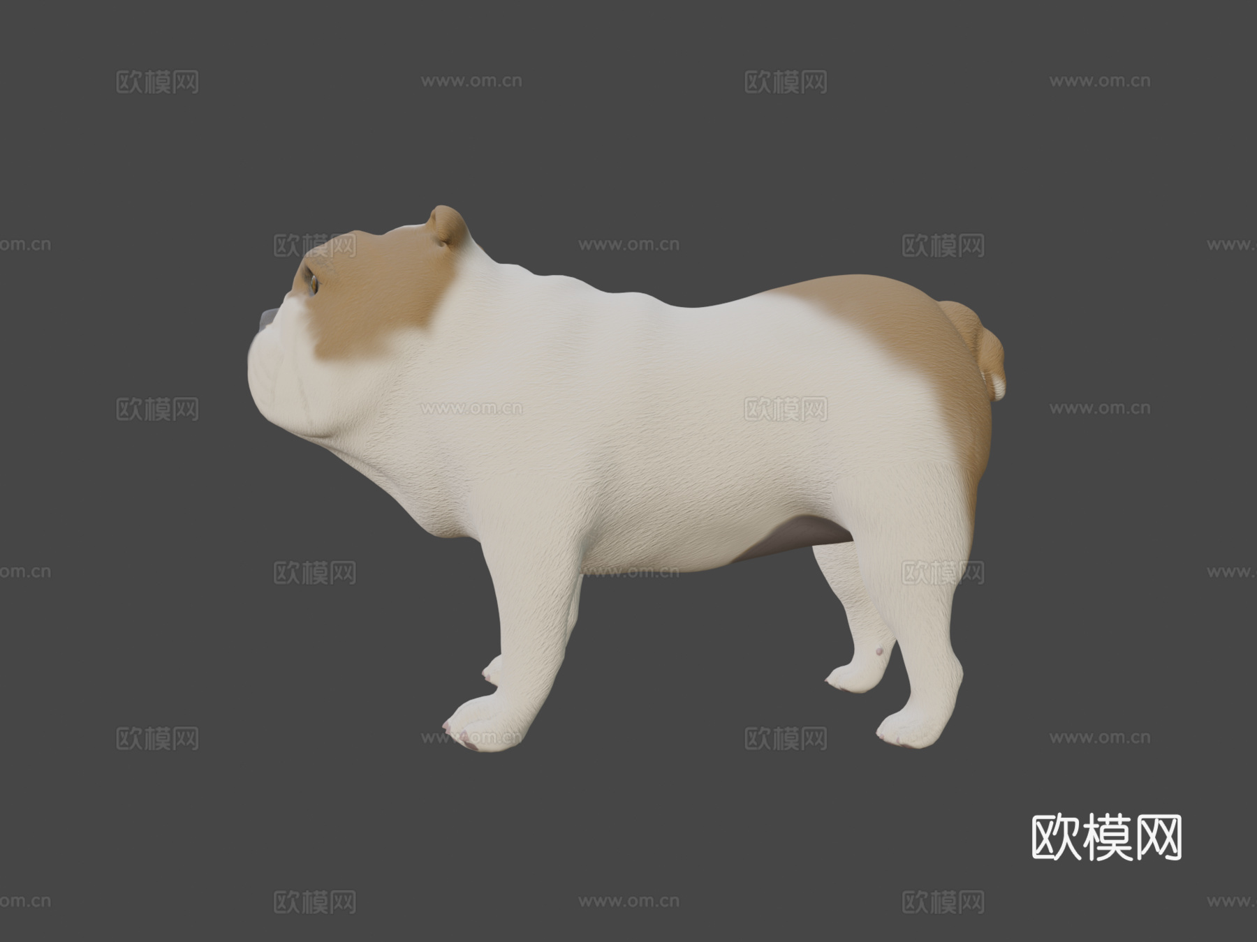 GD53离子罗德里格斯MOD2su模型下载（渲染图6）