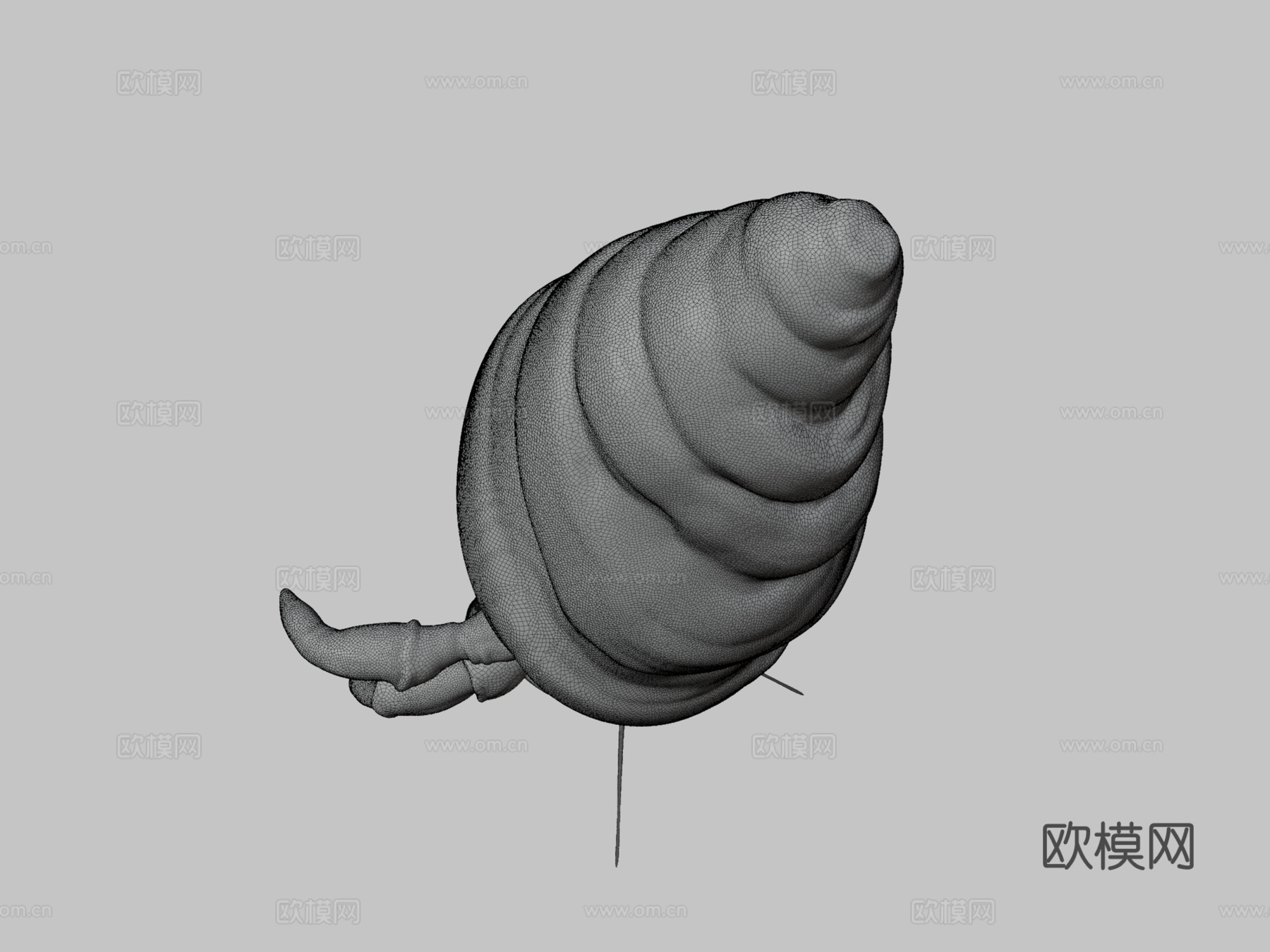 贫血寄居蟹su模型下载（渲染图3）