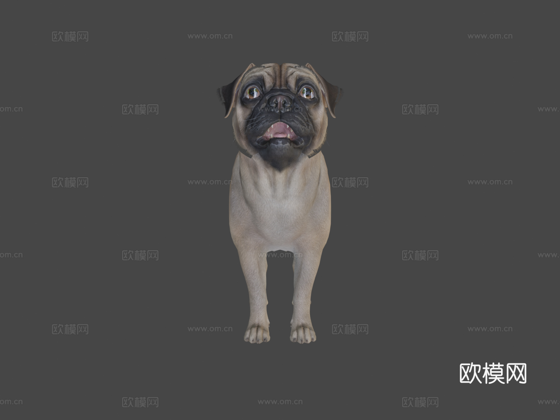 狗哈巴狗v2su模型