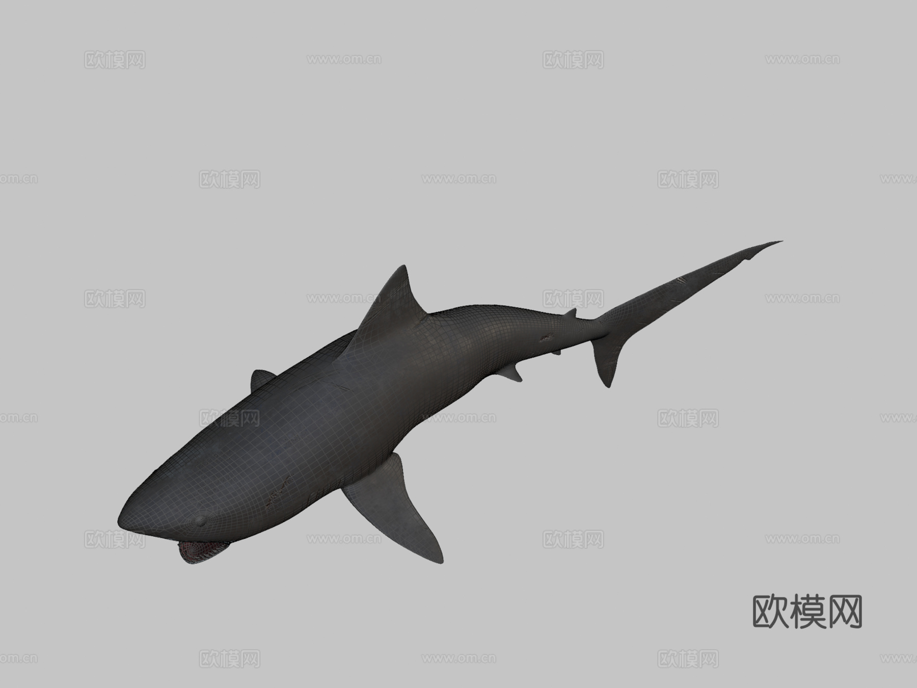 鲨鱼su模型下载（渲染图2）