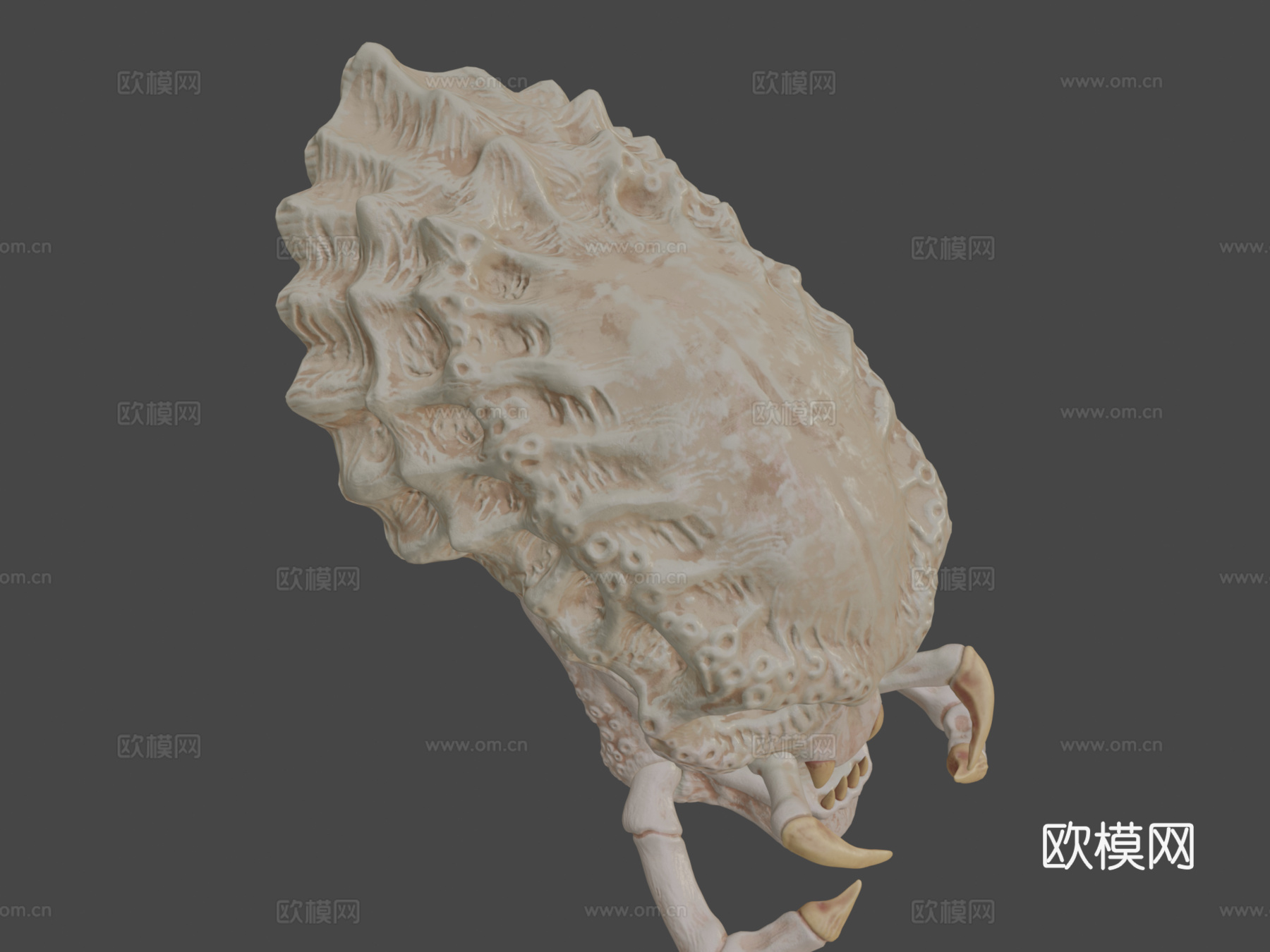 掠食者头骨su模型