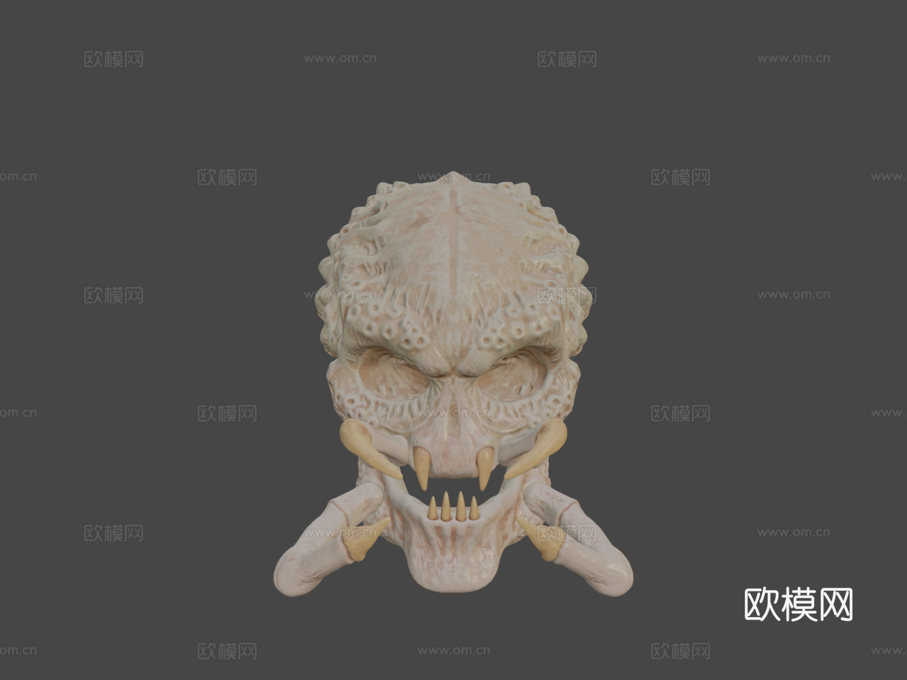 掠食者头骨su模型