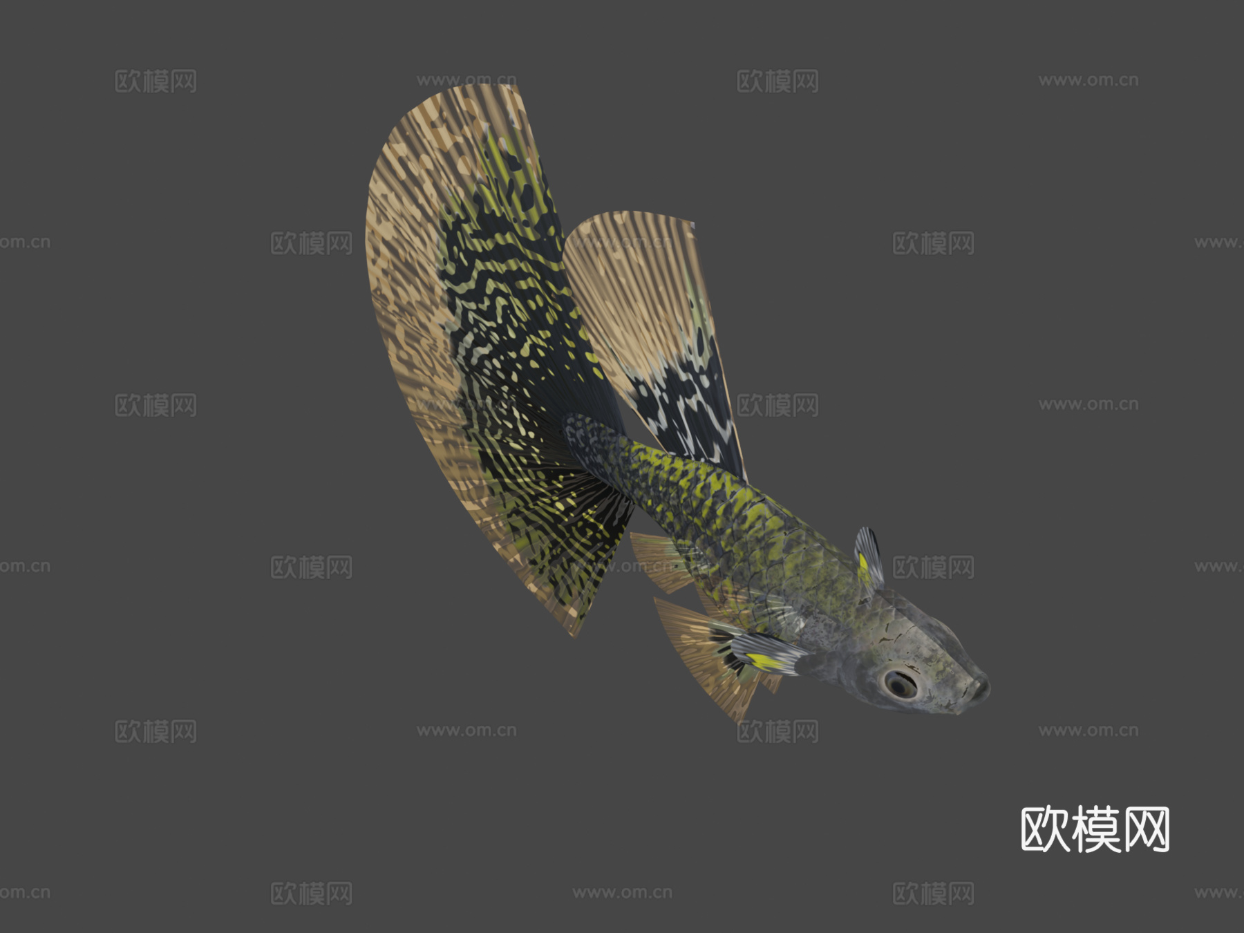孔雀鱼眼镜蛇豹纹su模型