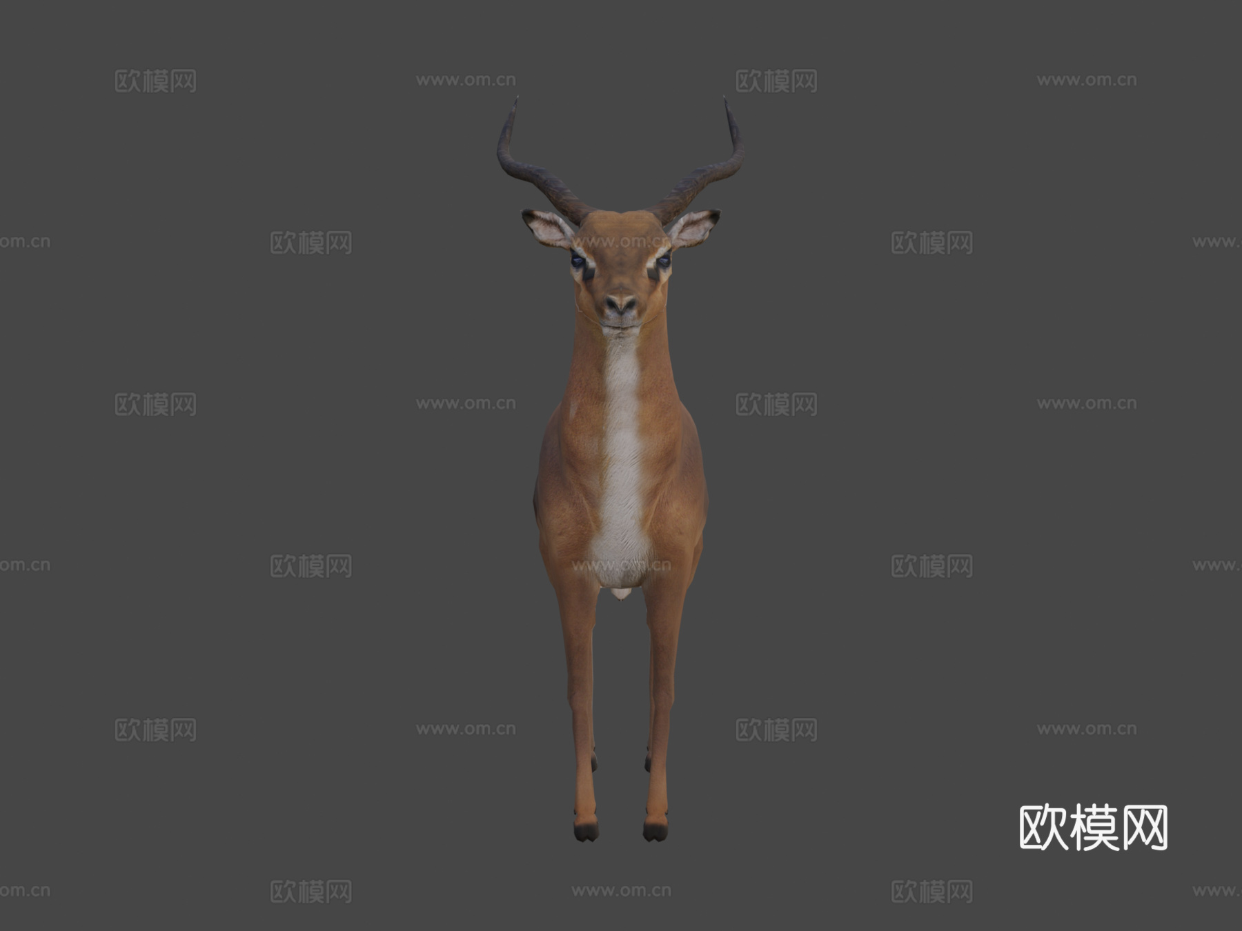 黑斑羚su模型