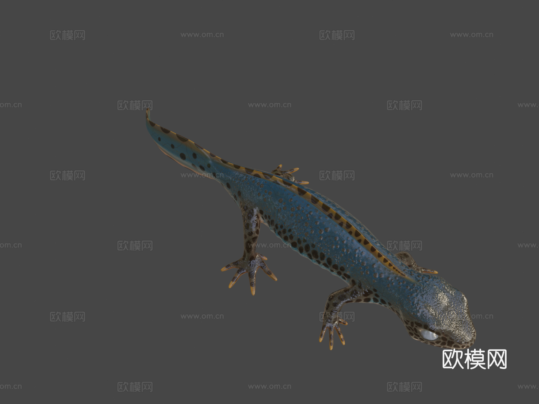 高山蝾螈su模型下载（渲染图8）