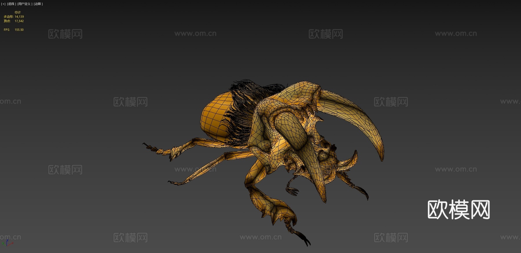 金色虎甲虫su模型