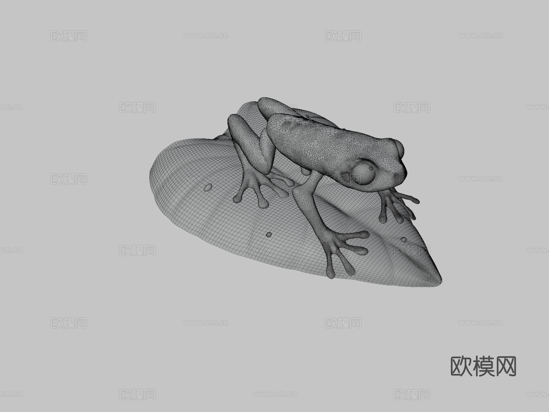红眼树蛙su模型下载（渲染图3）