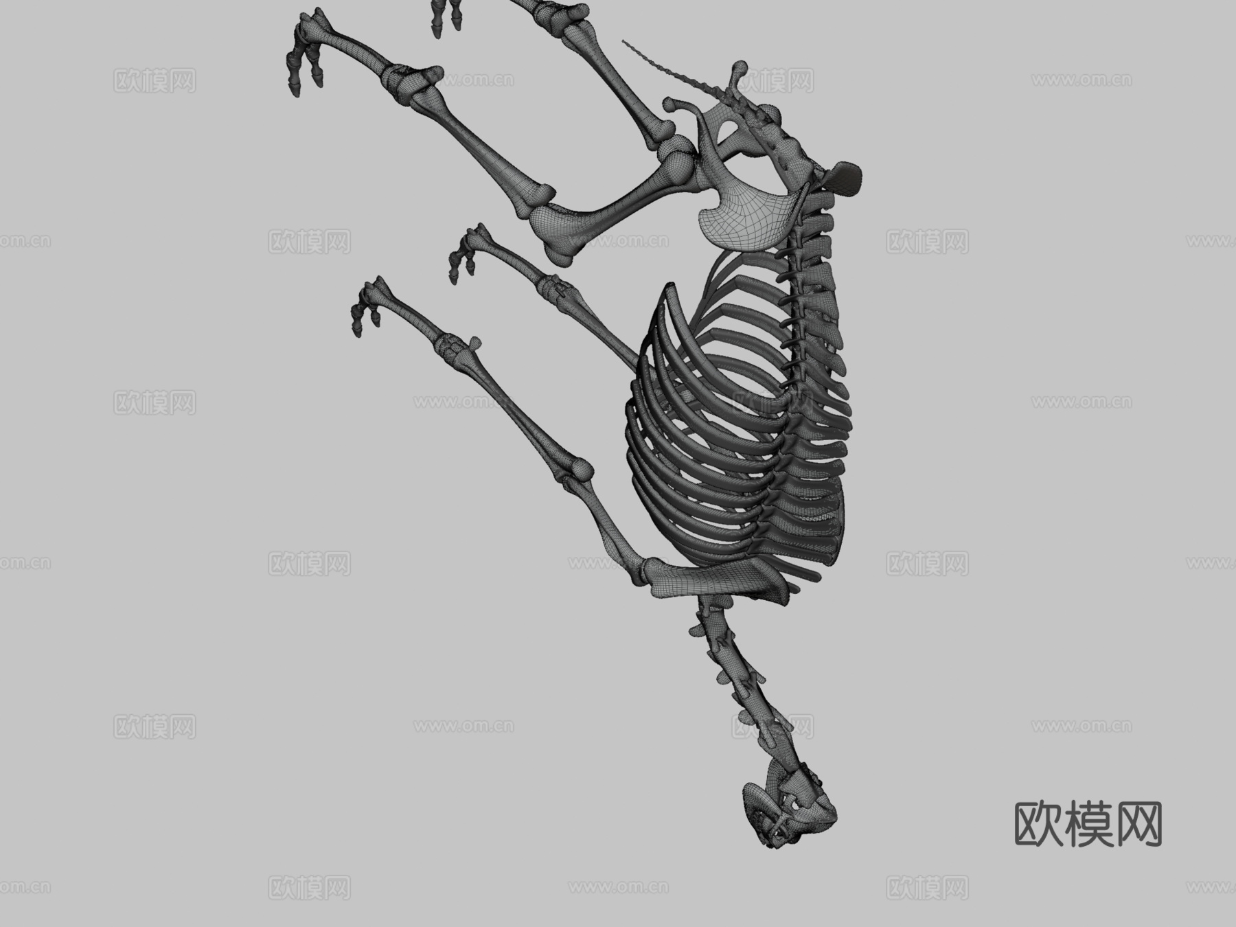 单峰骆驼骨架su模型