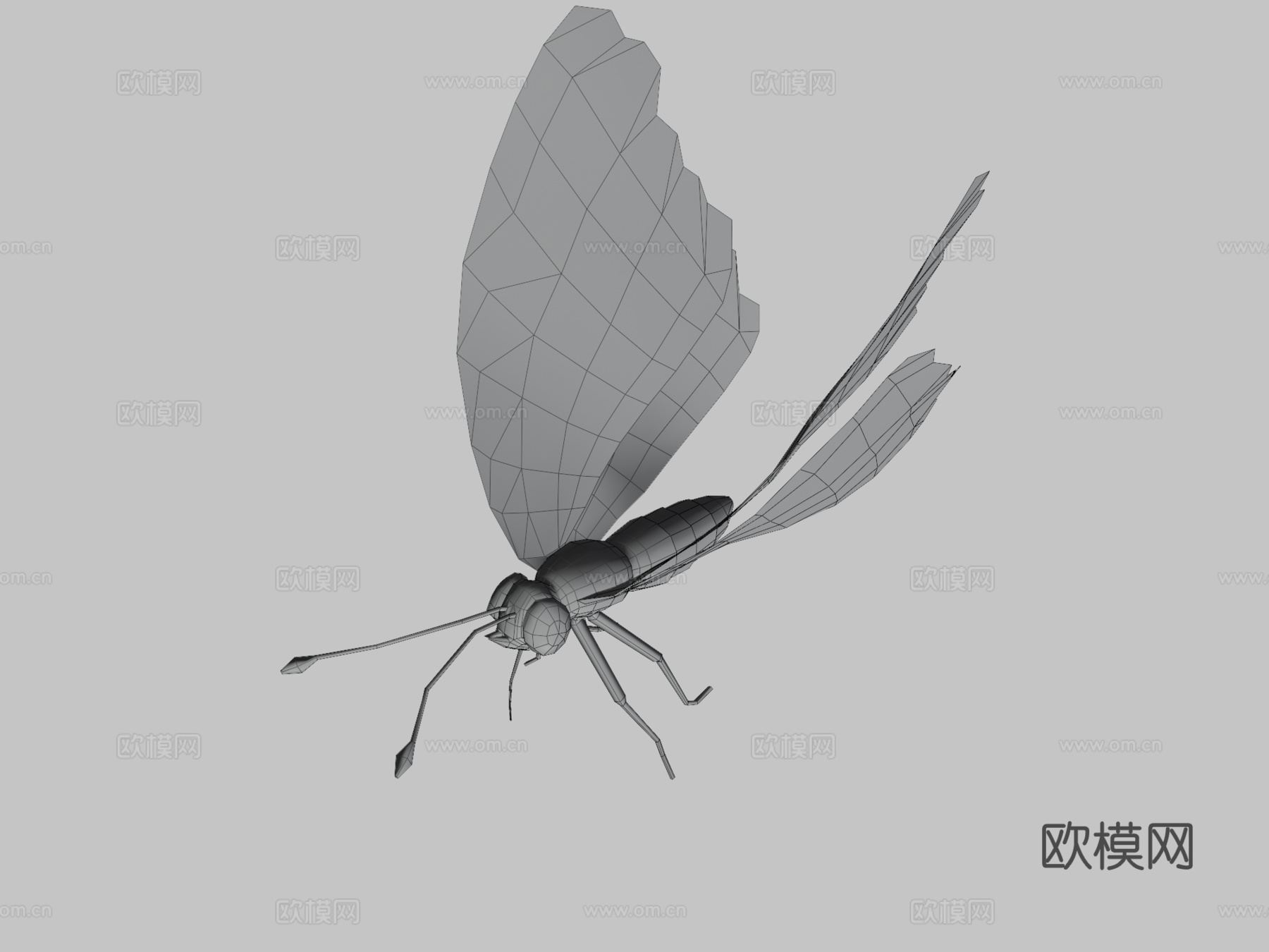 柑橘凤蝶绑定su模型