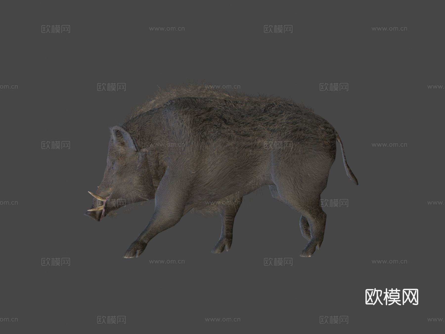 野猪su模型