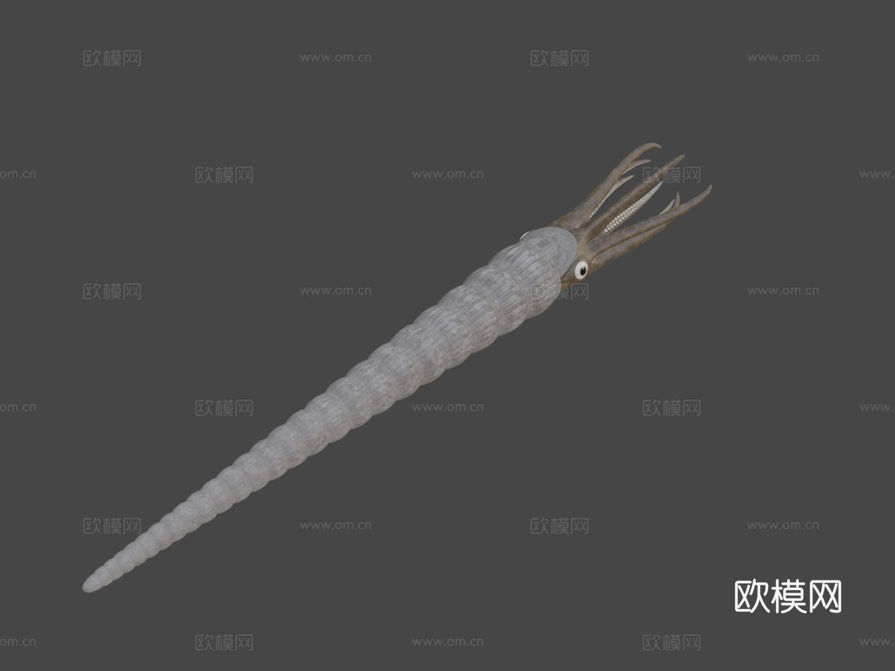 动画版房角石su模型