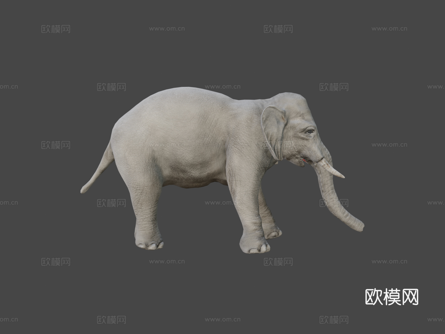 大象su模型
