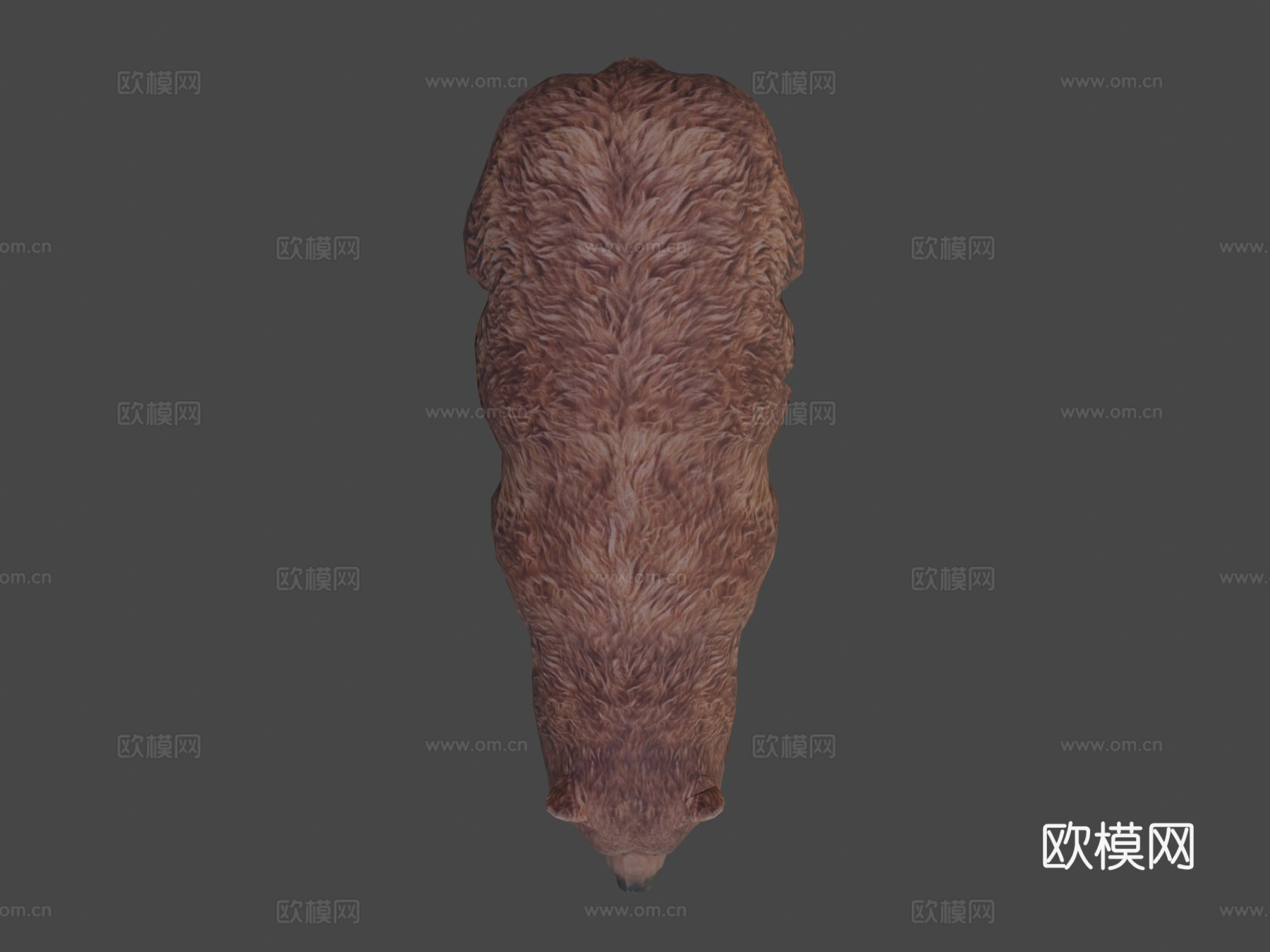 真实熊su模型下载（渲染图7）