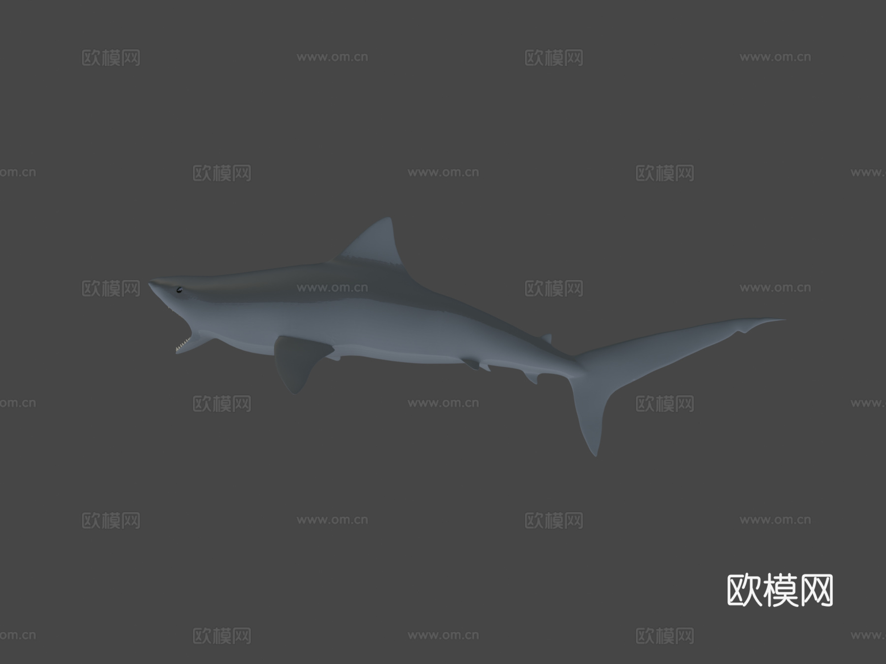 鲨鱼su模型下载（渲染图6）