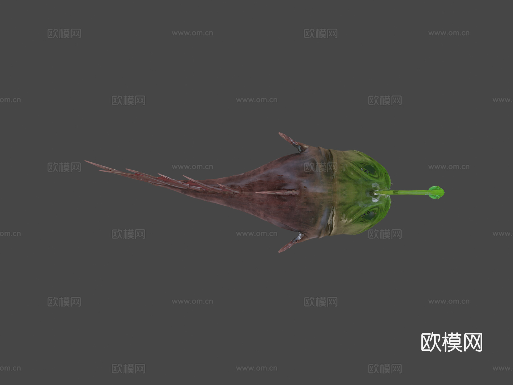 琵琶鱼su模型下载（渲染图5）