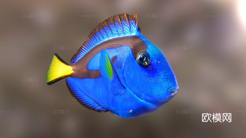 多莉su模型下载（渲染图1）