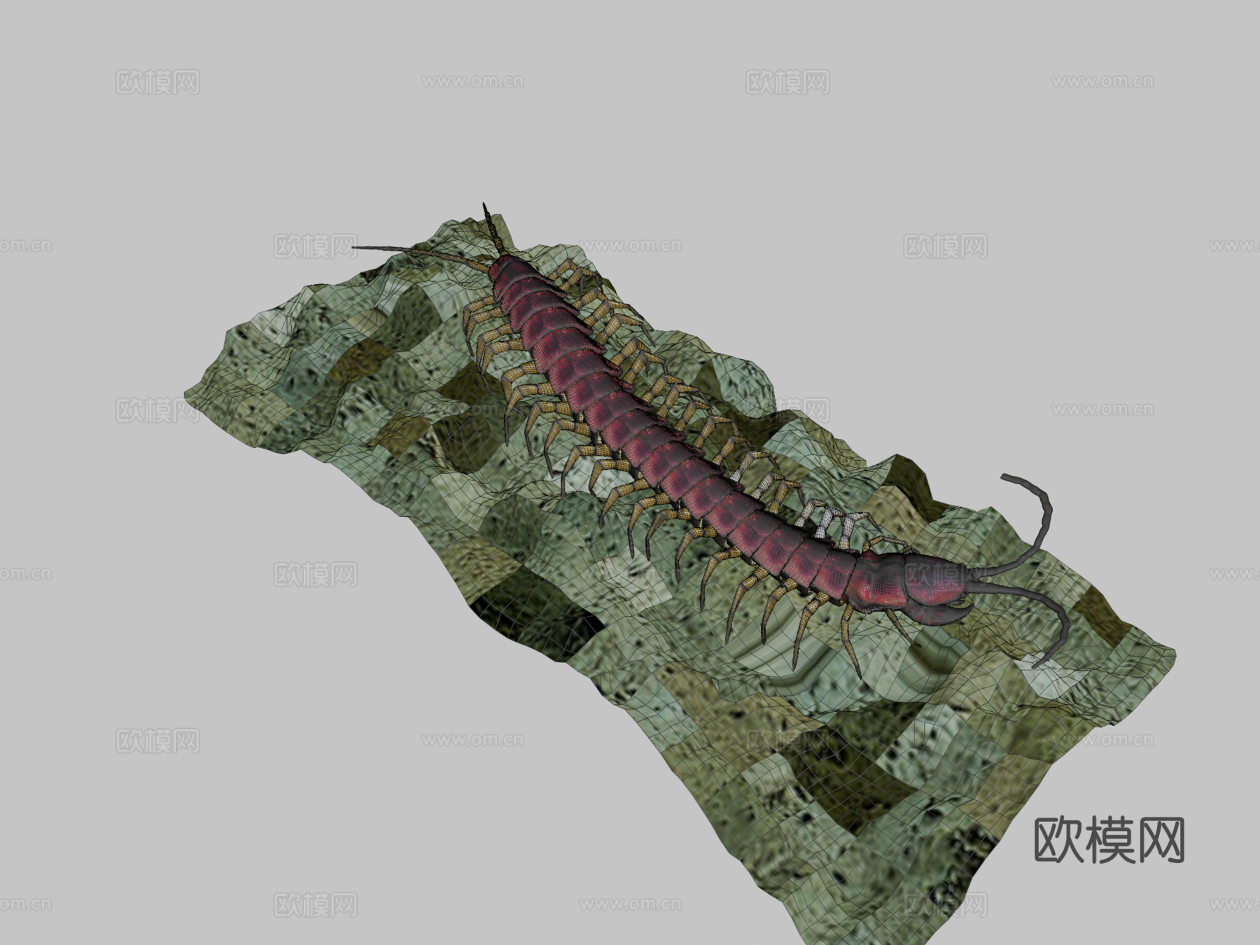 蜈蚣su模型下载（渲染图2）