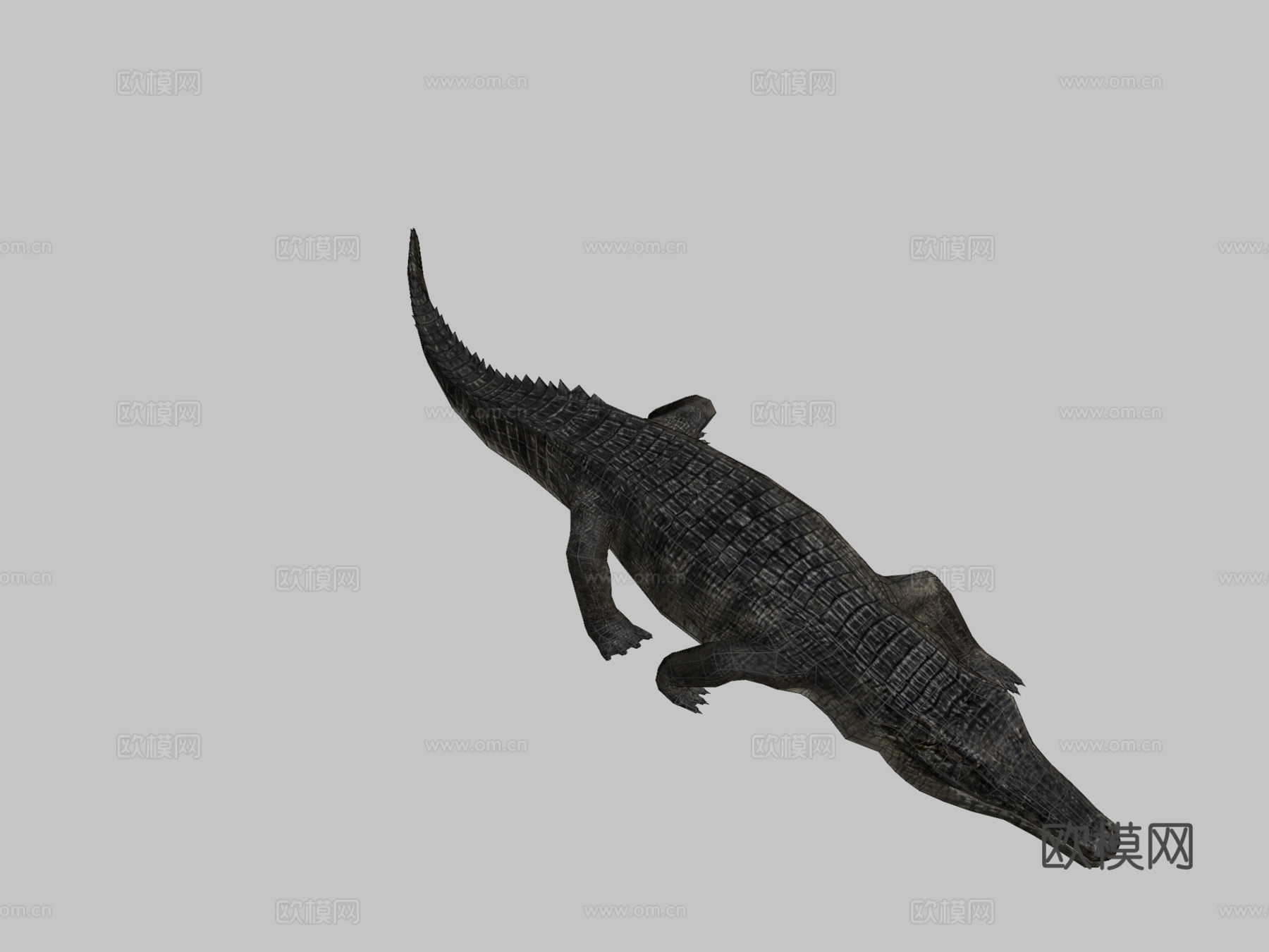 鳄鱼su模型