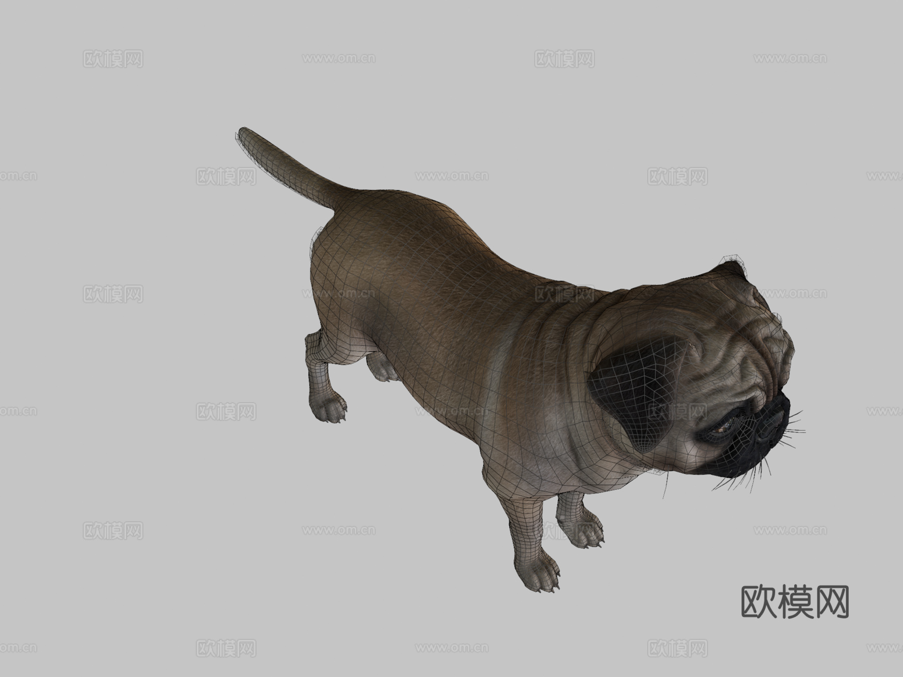 狗哈巴狗v2su模型