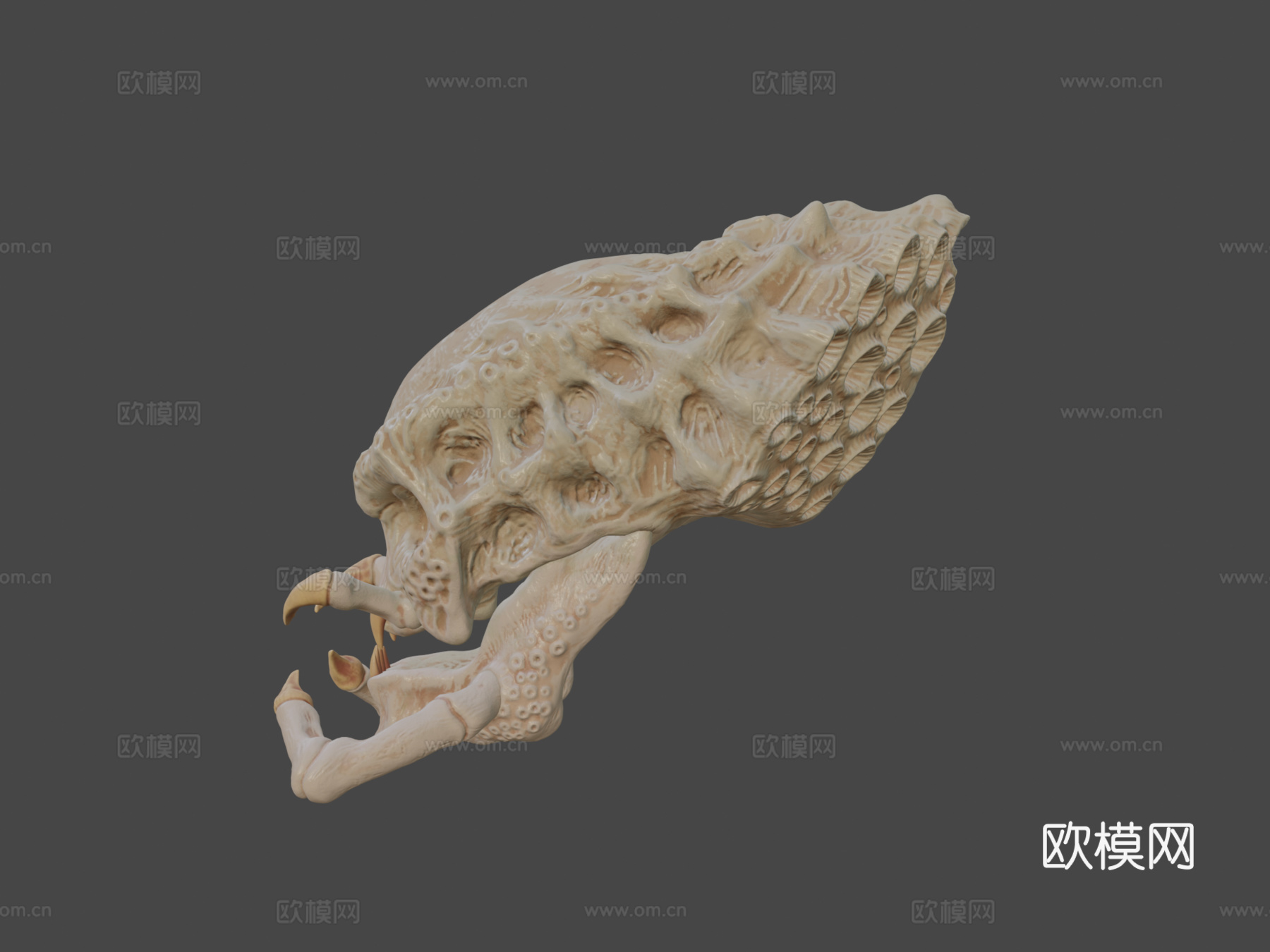 掠食者头骨su模型