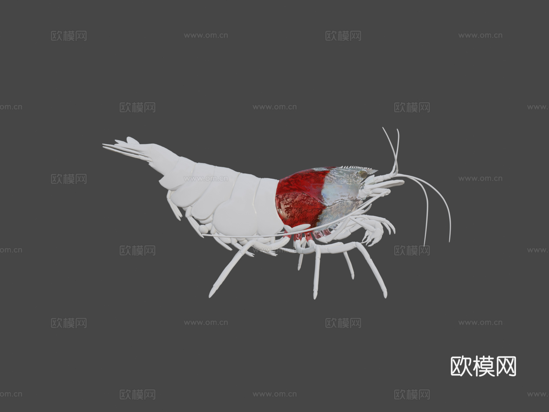 虾纹理测试su模型