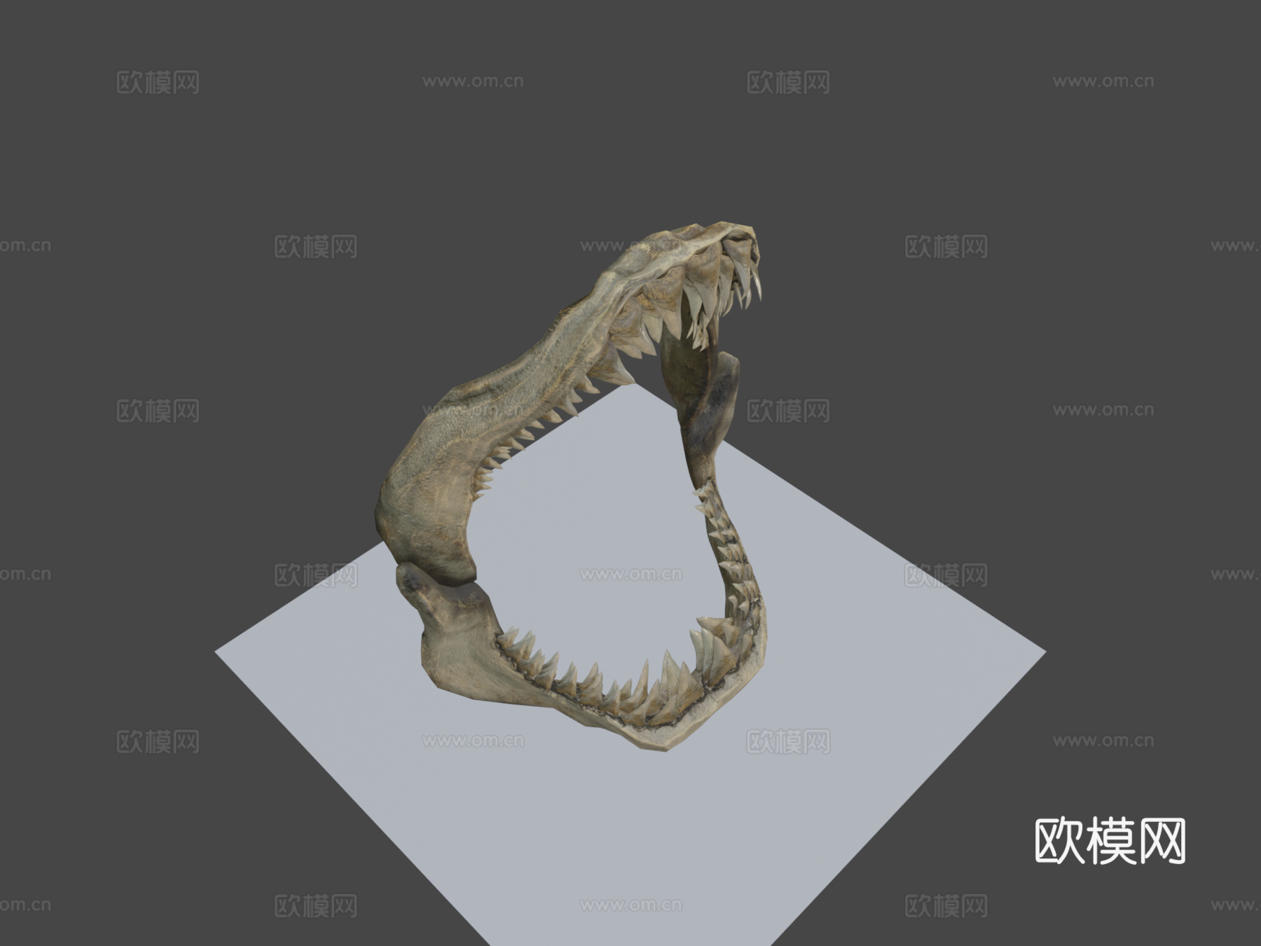 鲨鱼牙su模型下载（渲染图8）