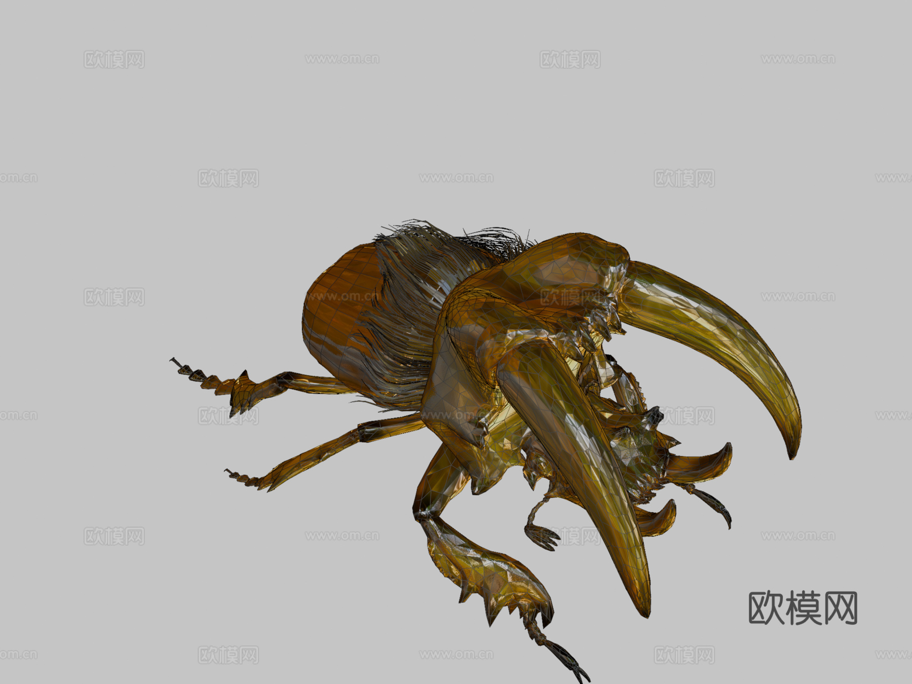金色虎甲虫su模型