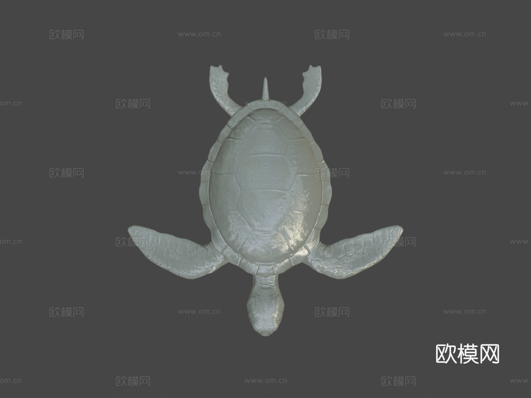 海龟su模型下载（渲染图7）