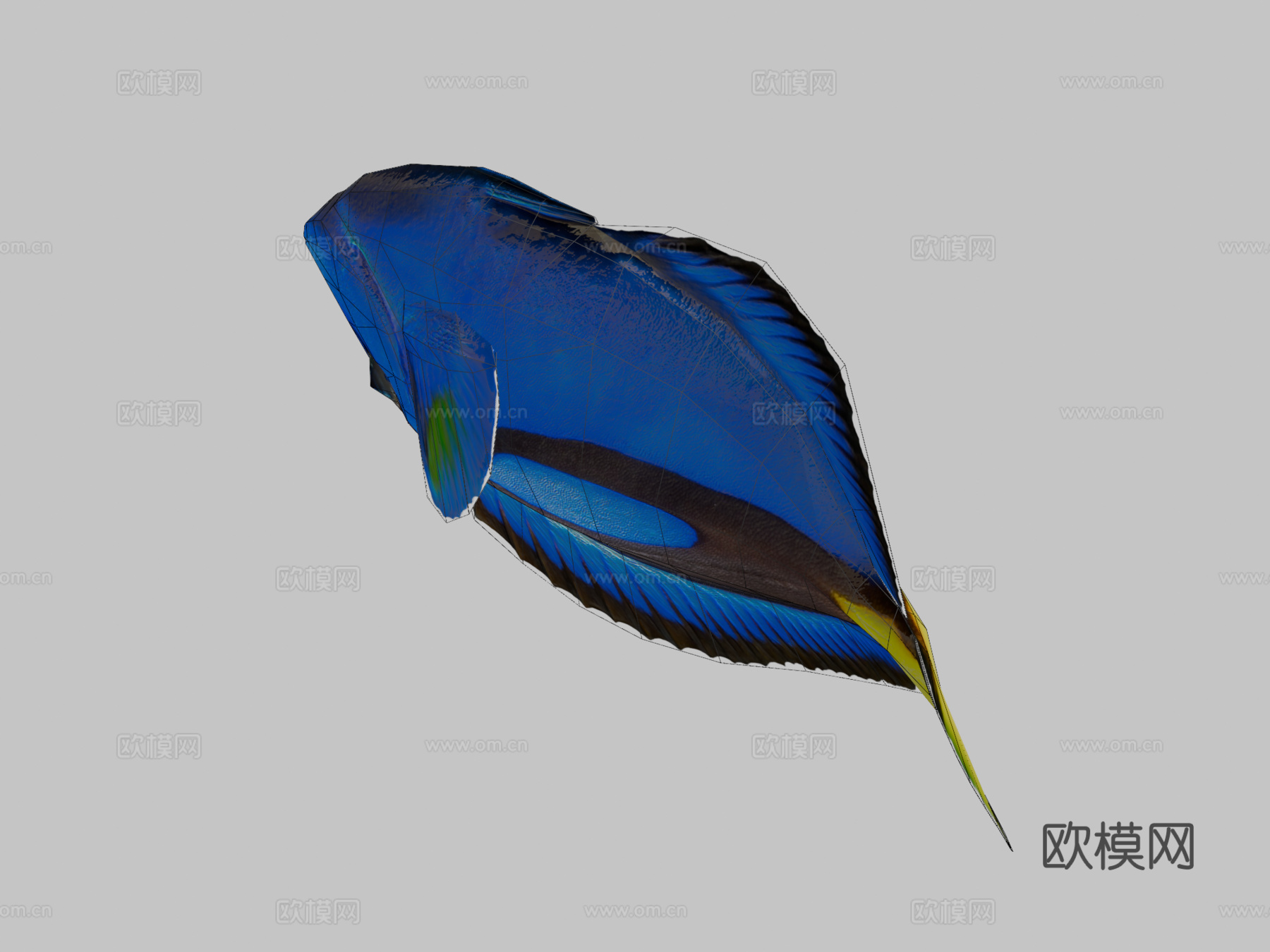 多莉su模型下载（渲染图2）