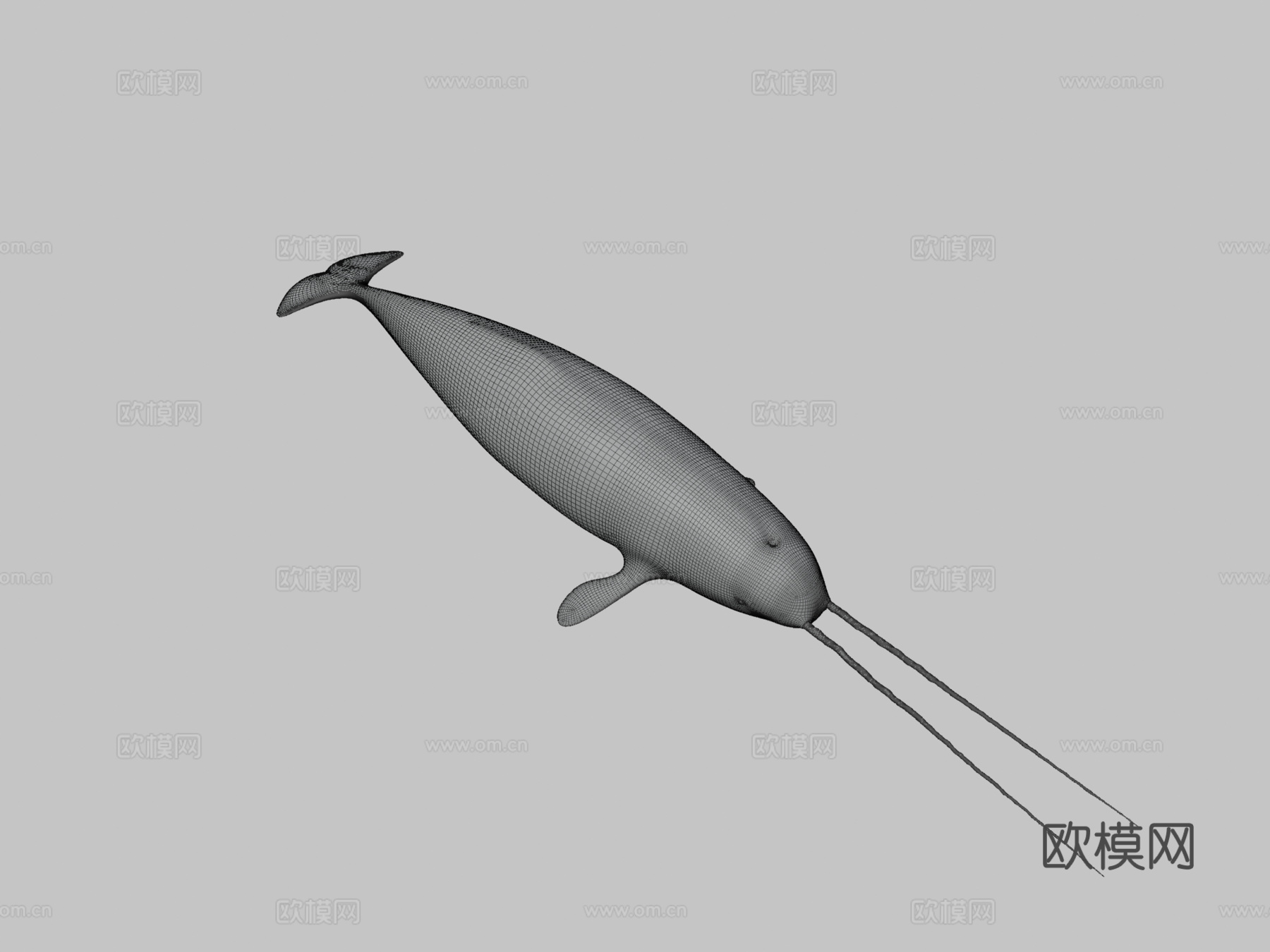 独角鲸一角鲸属su模型