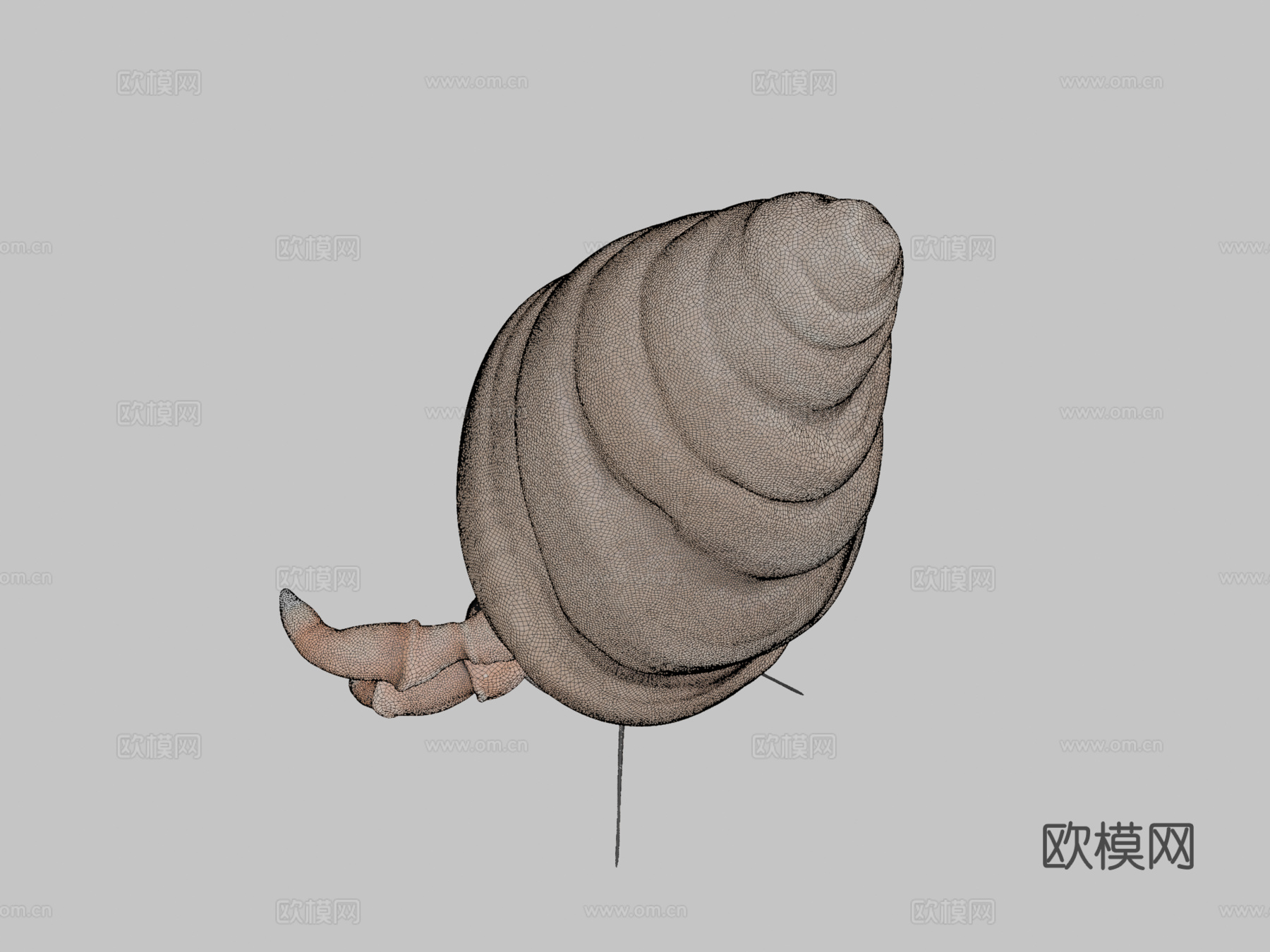 贫血寄居蟹su模型下载（渲染图2）