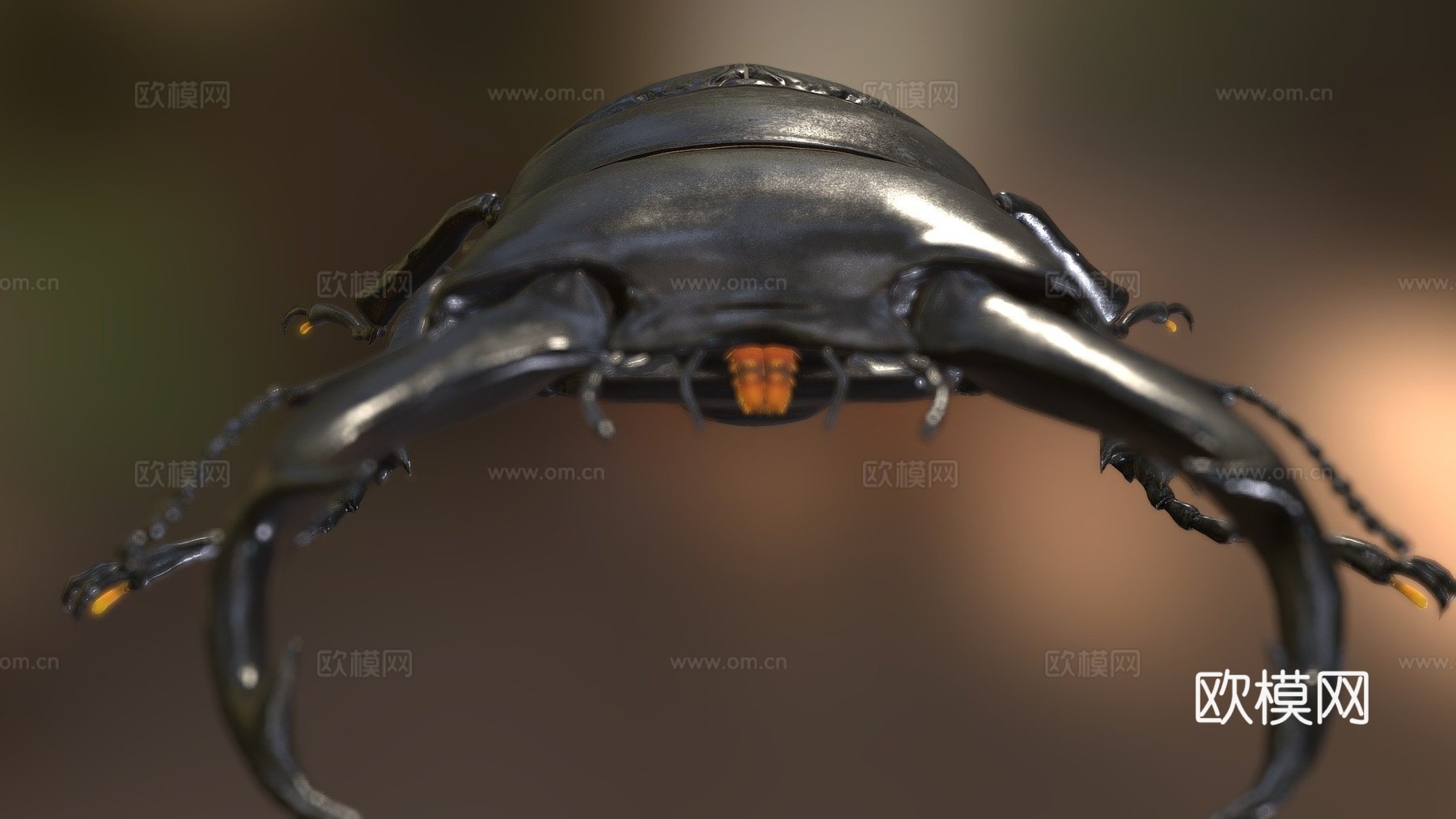 双瘤大锹甲su模型