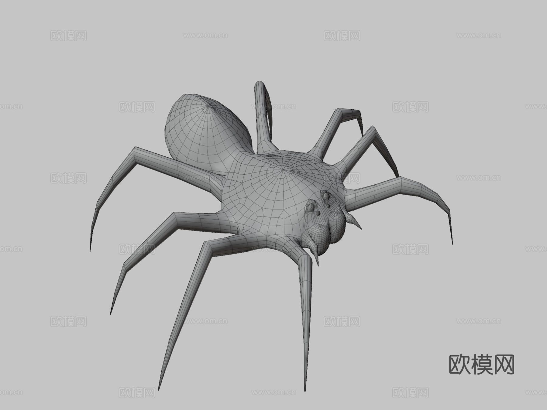 蜘蛛su模型