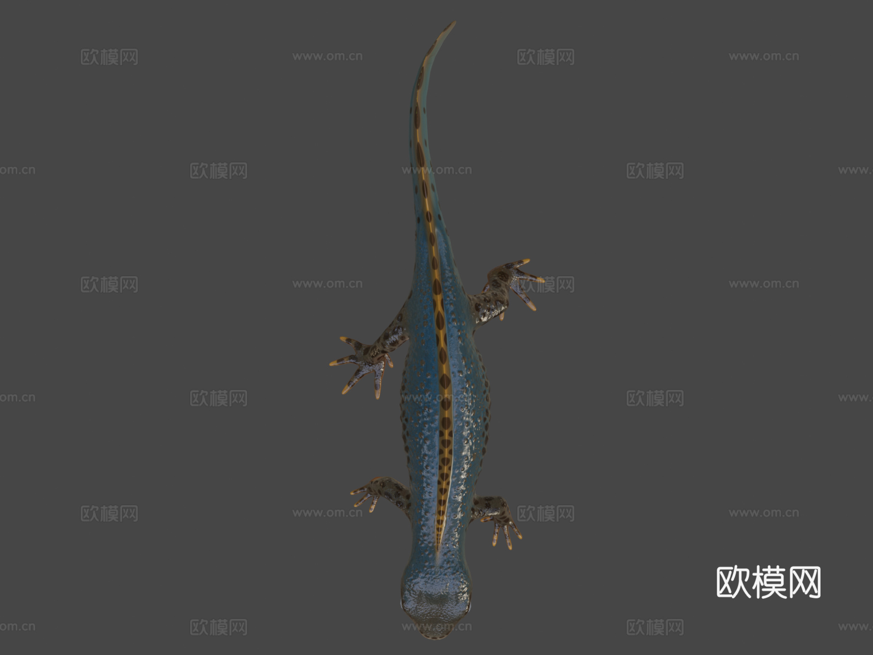 高山蝾螈su模型下载（渲染图6）