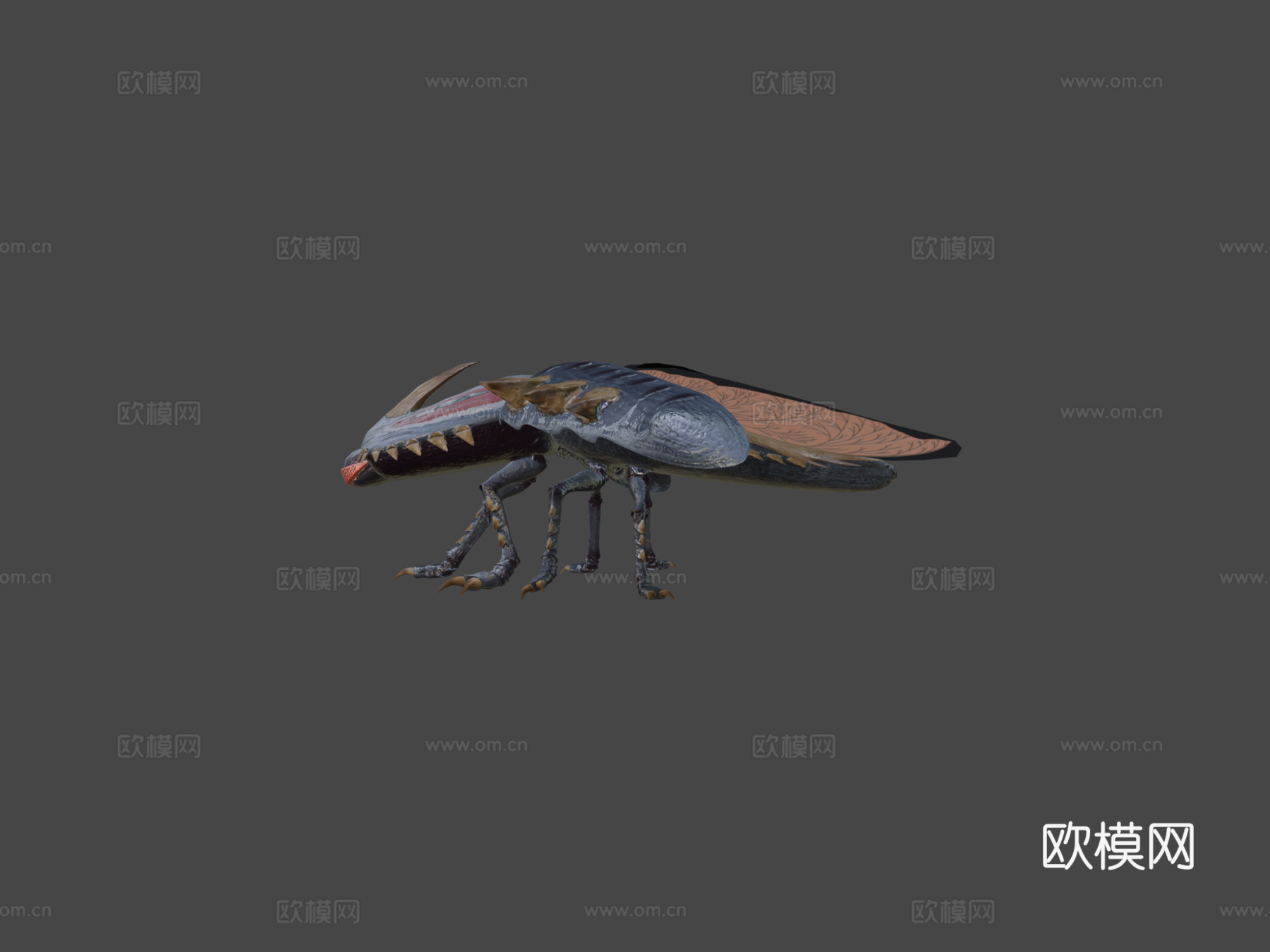 眼地鼓奥库尔提兰帕努姆su模型