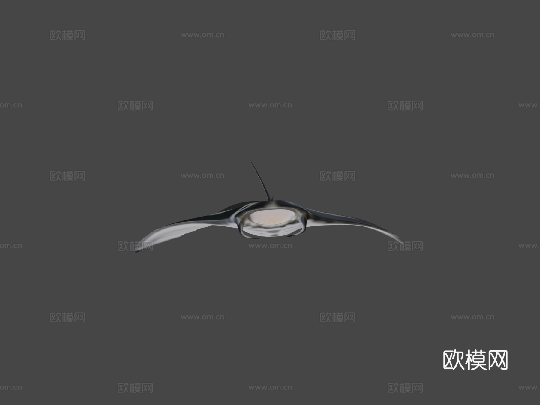 动画蝠鲼su模型