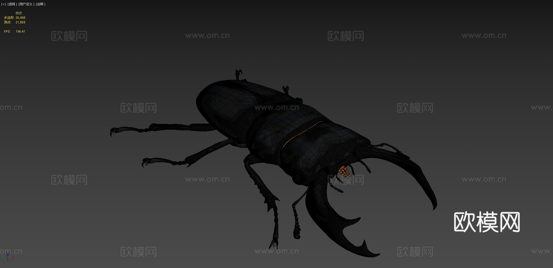 双瘤大锹甲su模型