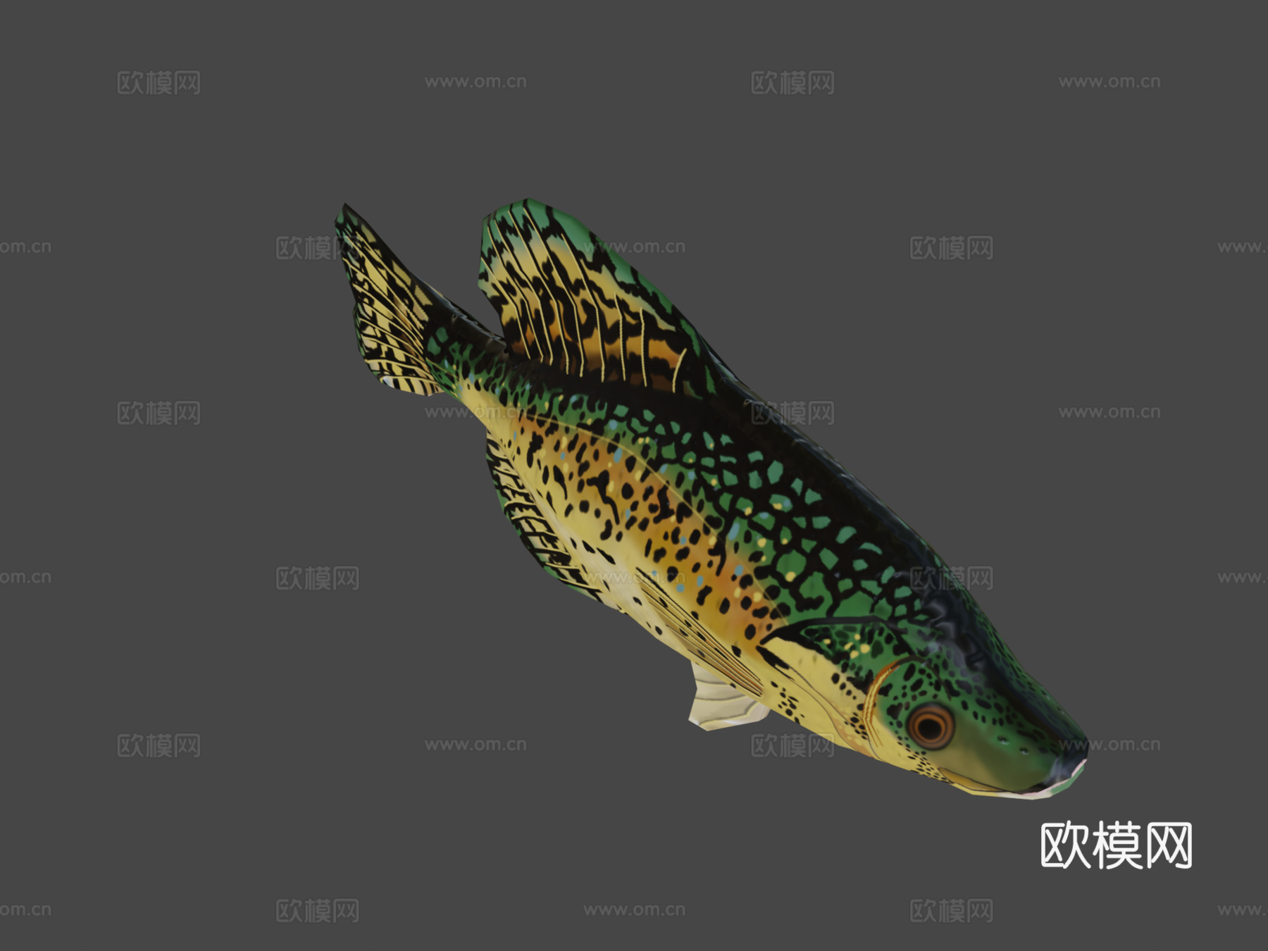 黑莓鲈su模型下载（渲染图7）