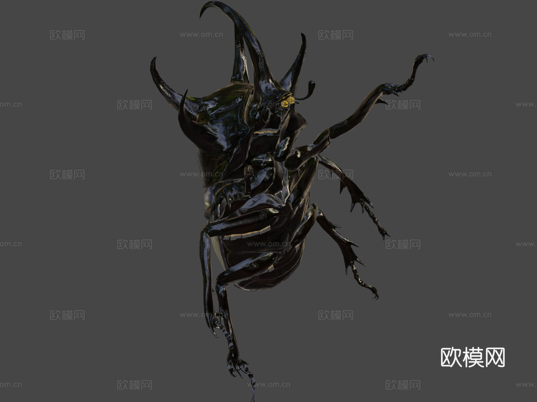 大王花金龟su模型下载（渲染图1）