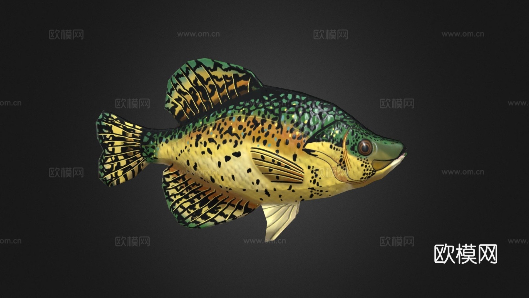 黑莓鲈su模型下载（渲染图1）