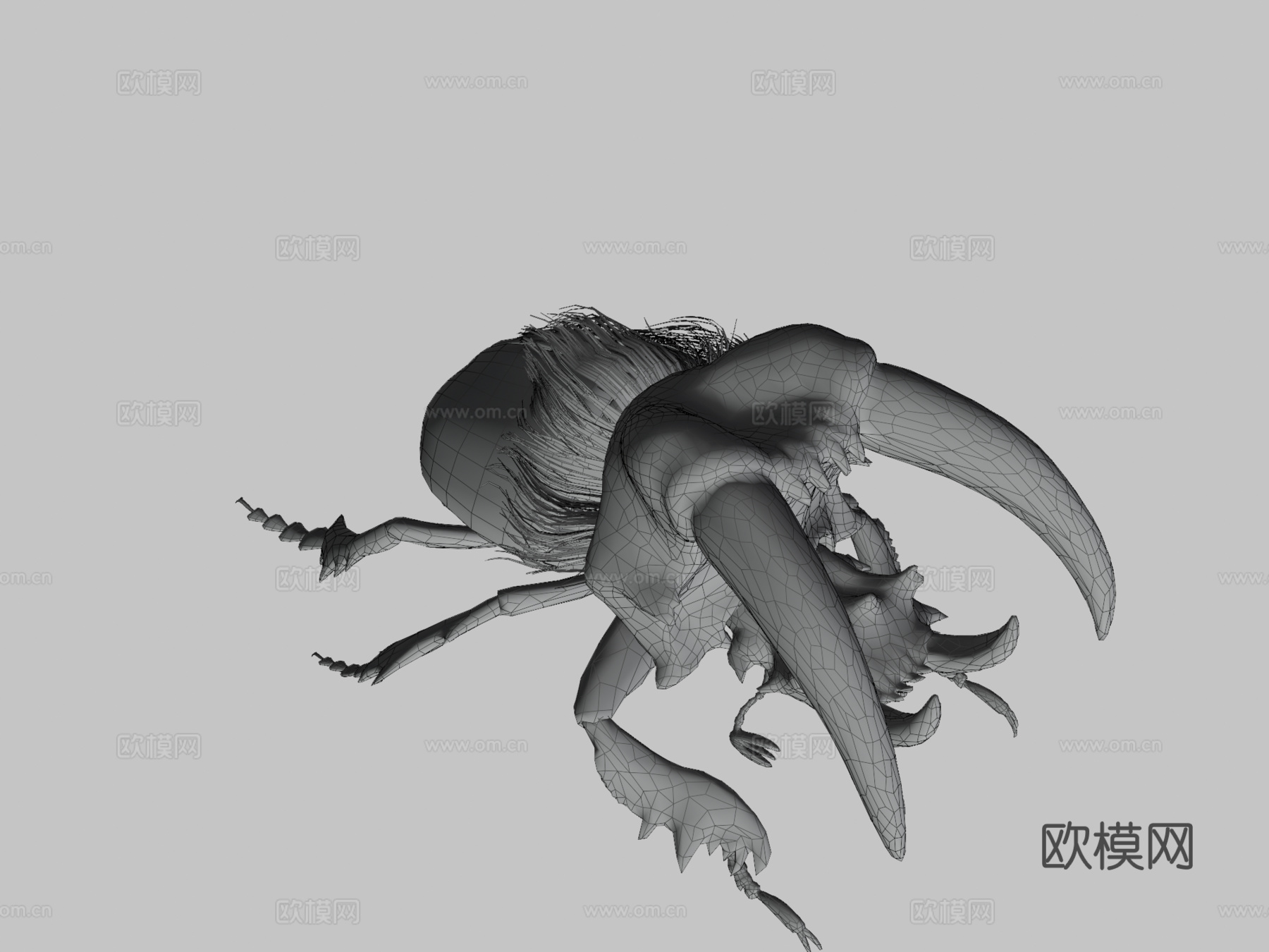 金色虎甲虫su模型