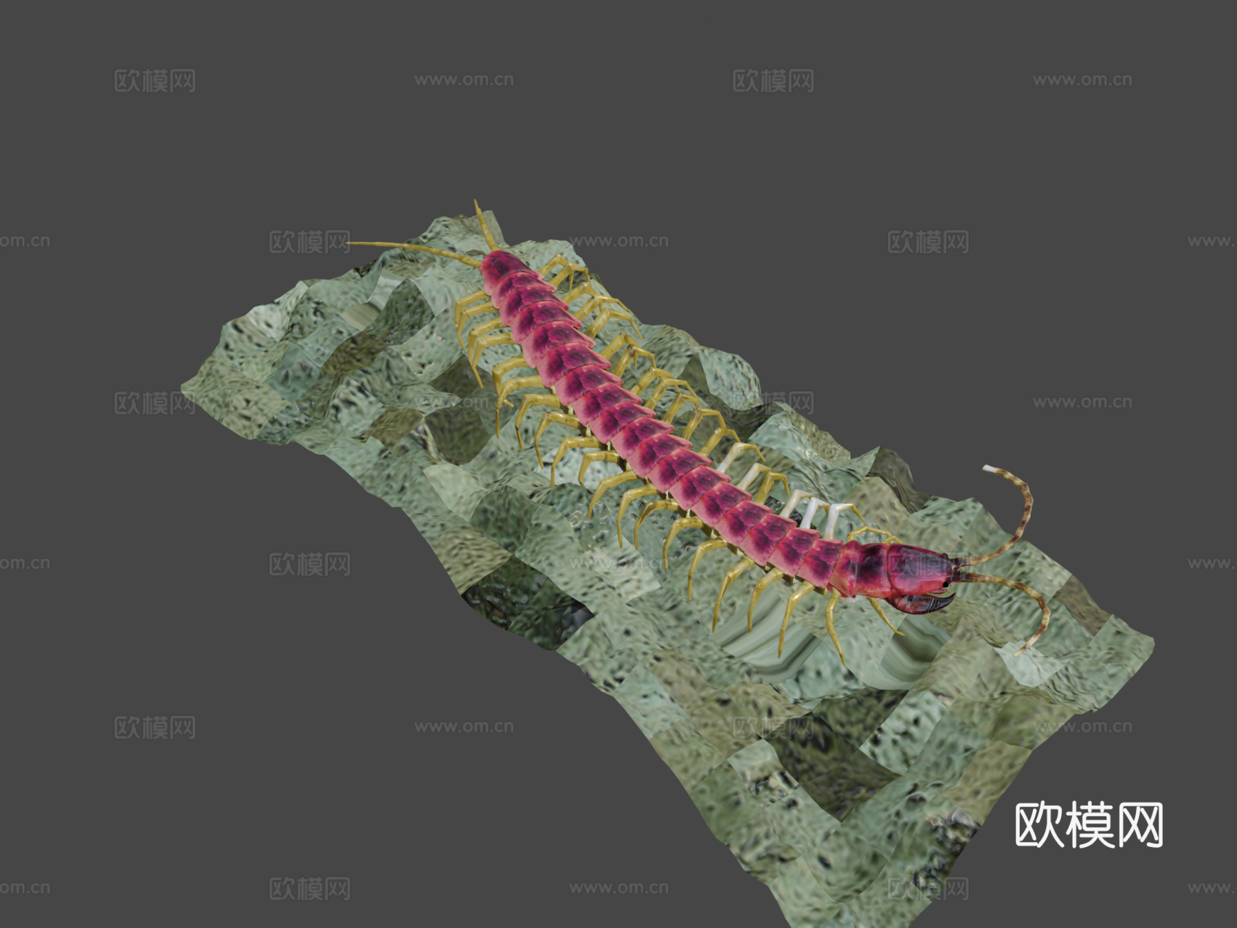 蜈蚣su模型下载（渲染图7）
