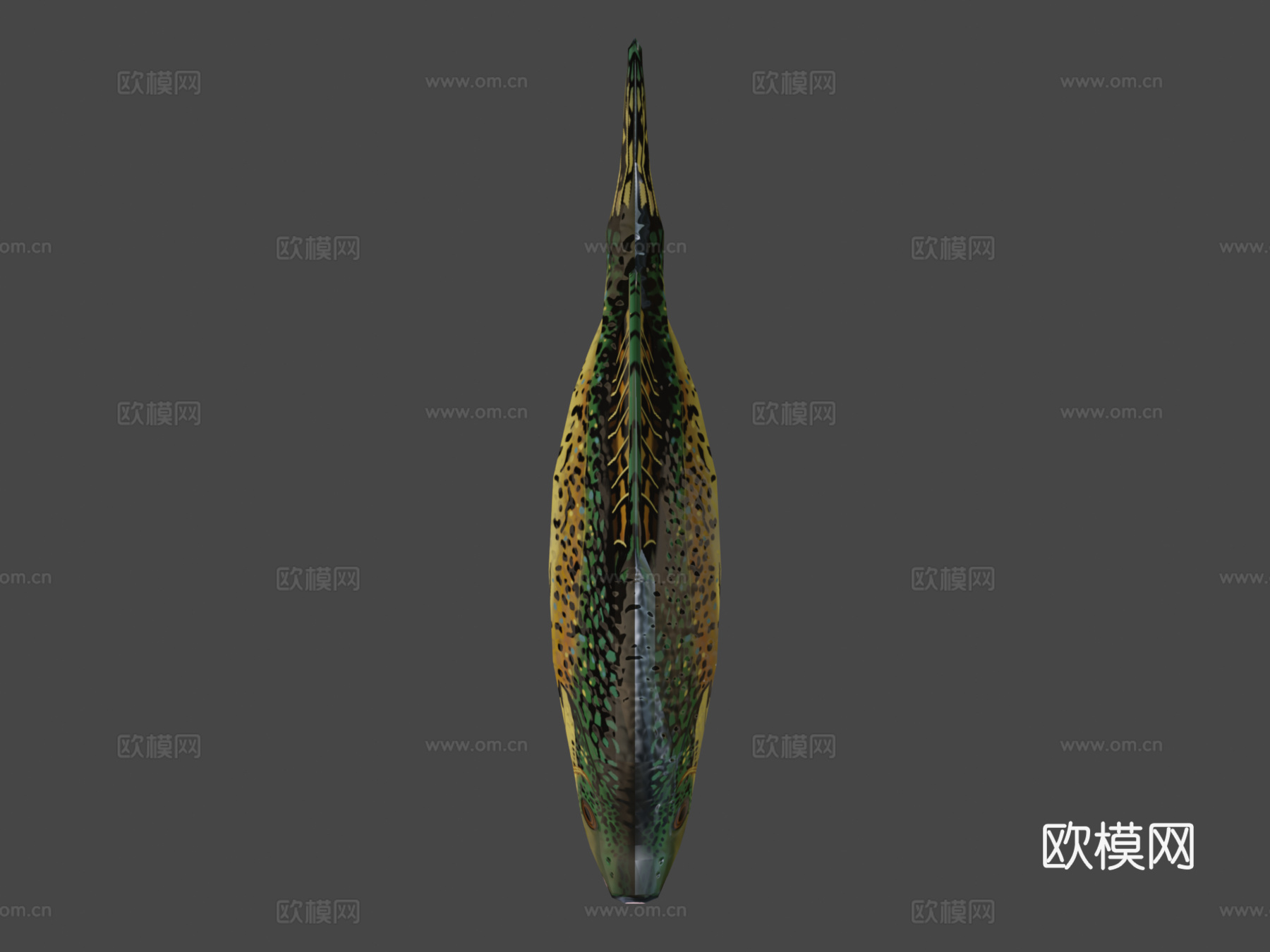 黑莓鲈su模型下载（渲染图6）