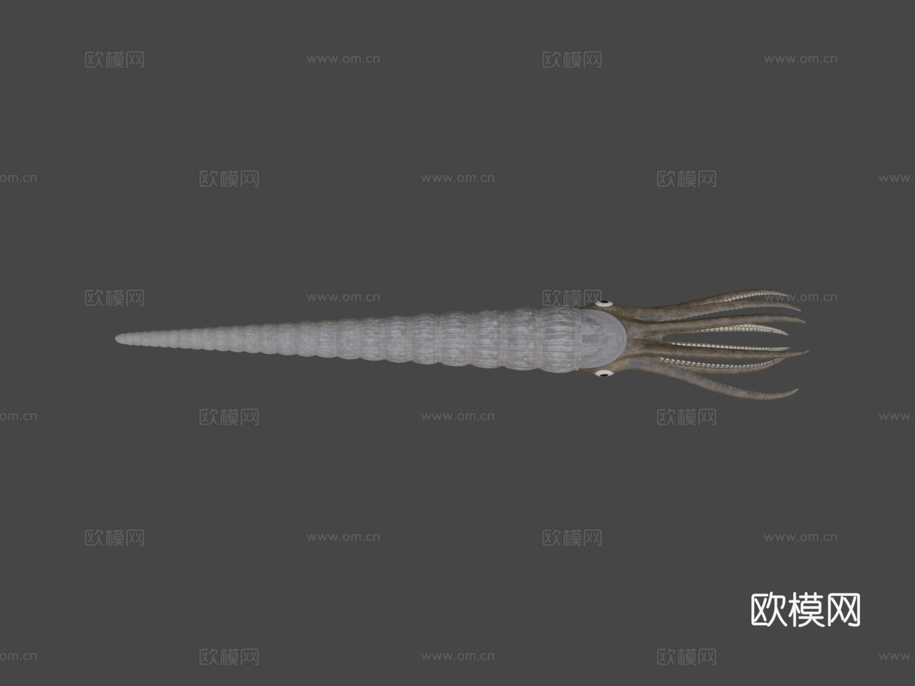 动画版房角石su模型