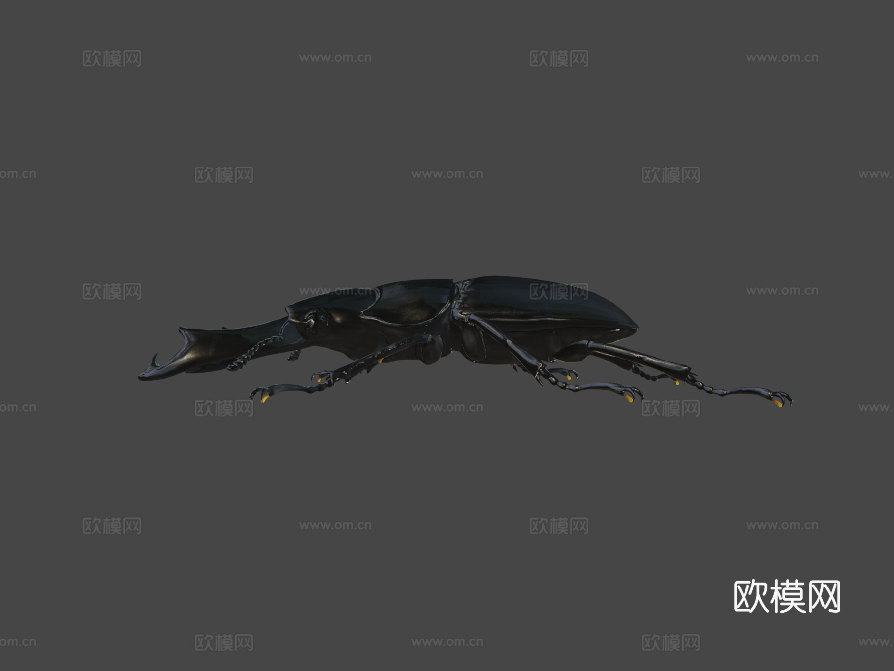 双瘤大锹甲su模型