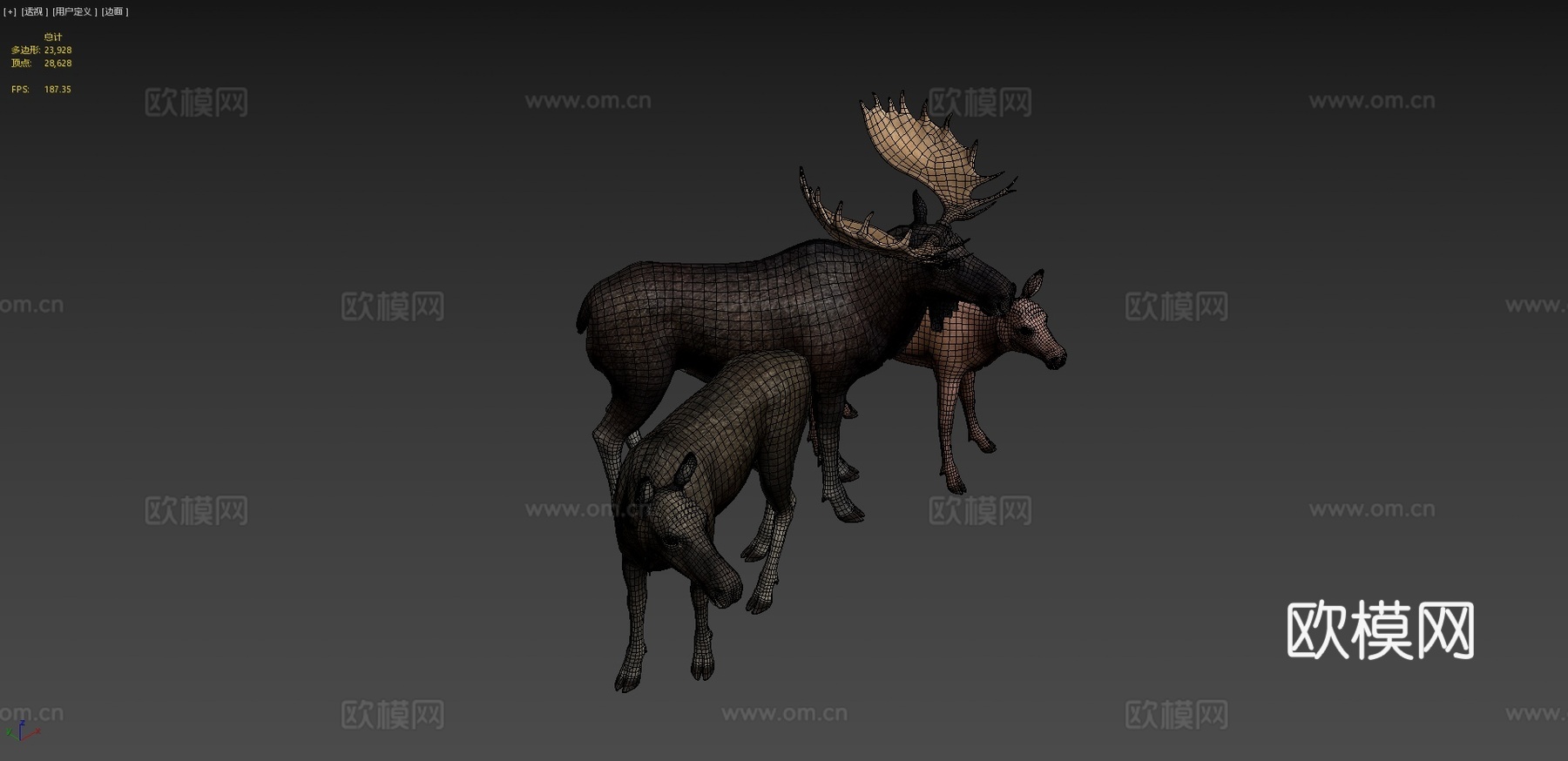 驼鹿家庭马鹿1su模型