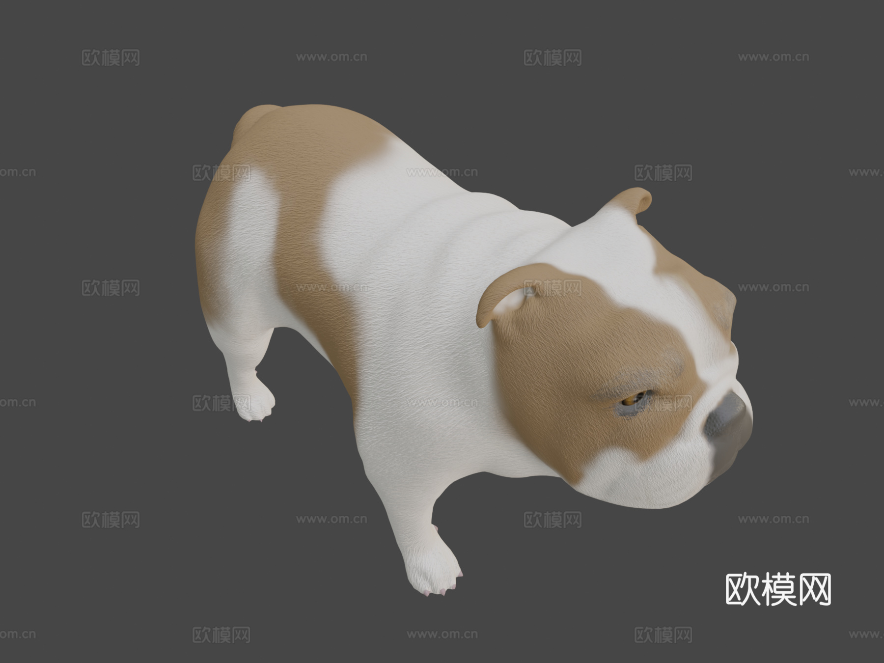 GD53离子罗德里格斯MOD2su模型下载（渲染图8）