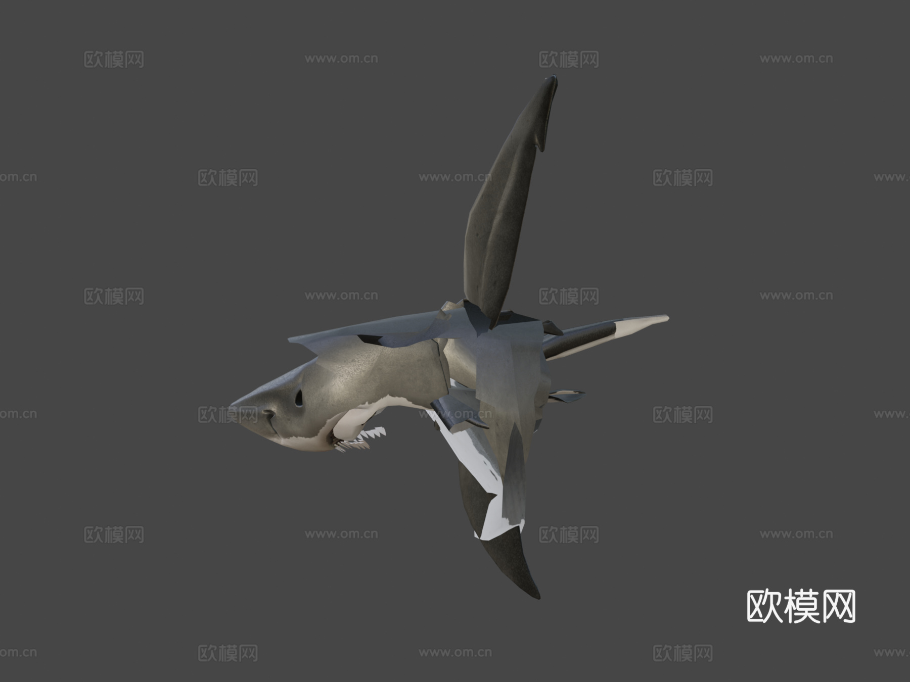 大白鲨噬人鲨su模型