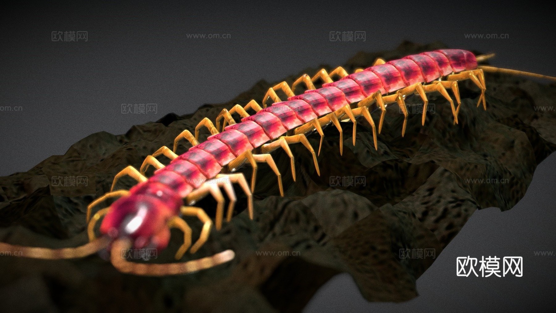 蜈蚣su模型下载（渲染图1）
