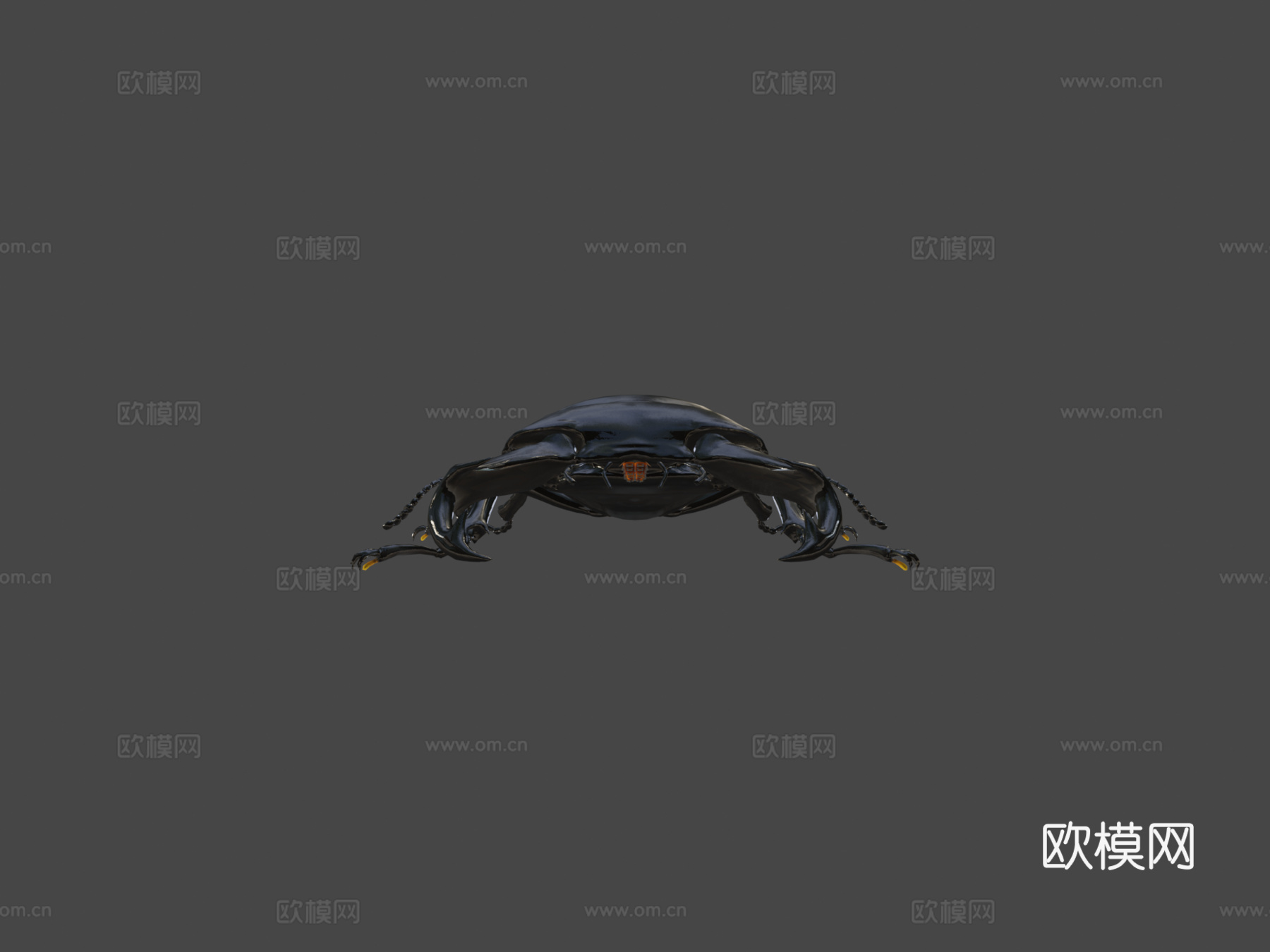 双瘤大锹甲su模型